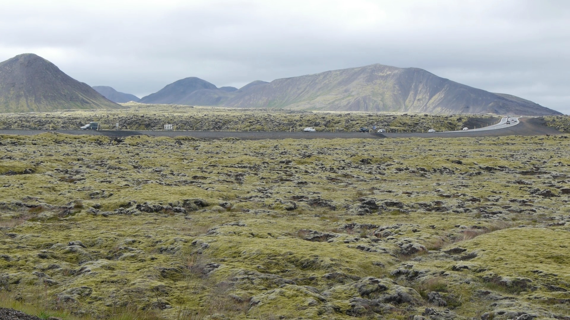 Eva Rocco Kenell. Járnbrautarmálið / A Railway Case.