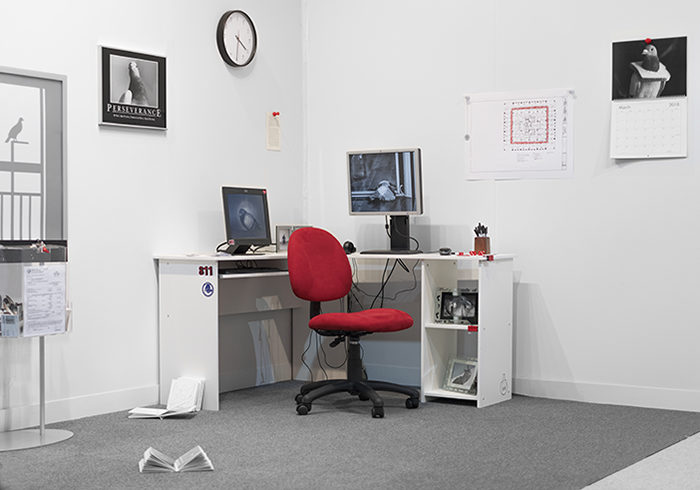 Amalia Ulman, BOB LIFE (installation detail) 2018, The Armory Fair, New York