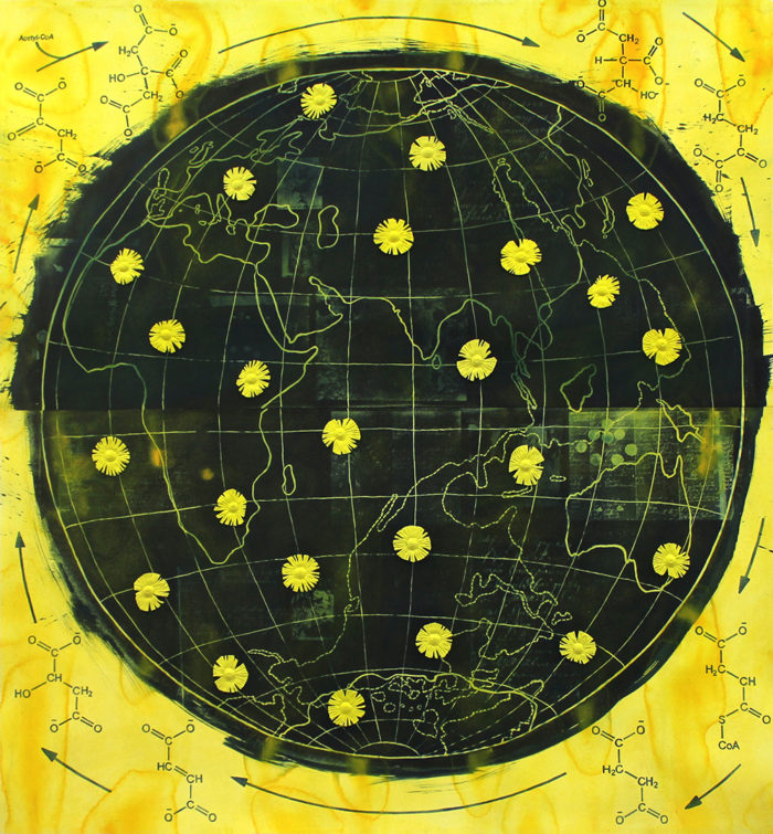 Berit Jonsvik, Cycle, 140 x 150 cm, cyanotypi/akvarell, 2012–17.