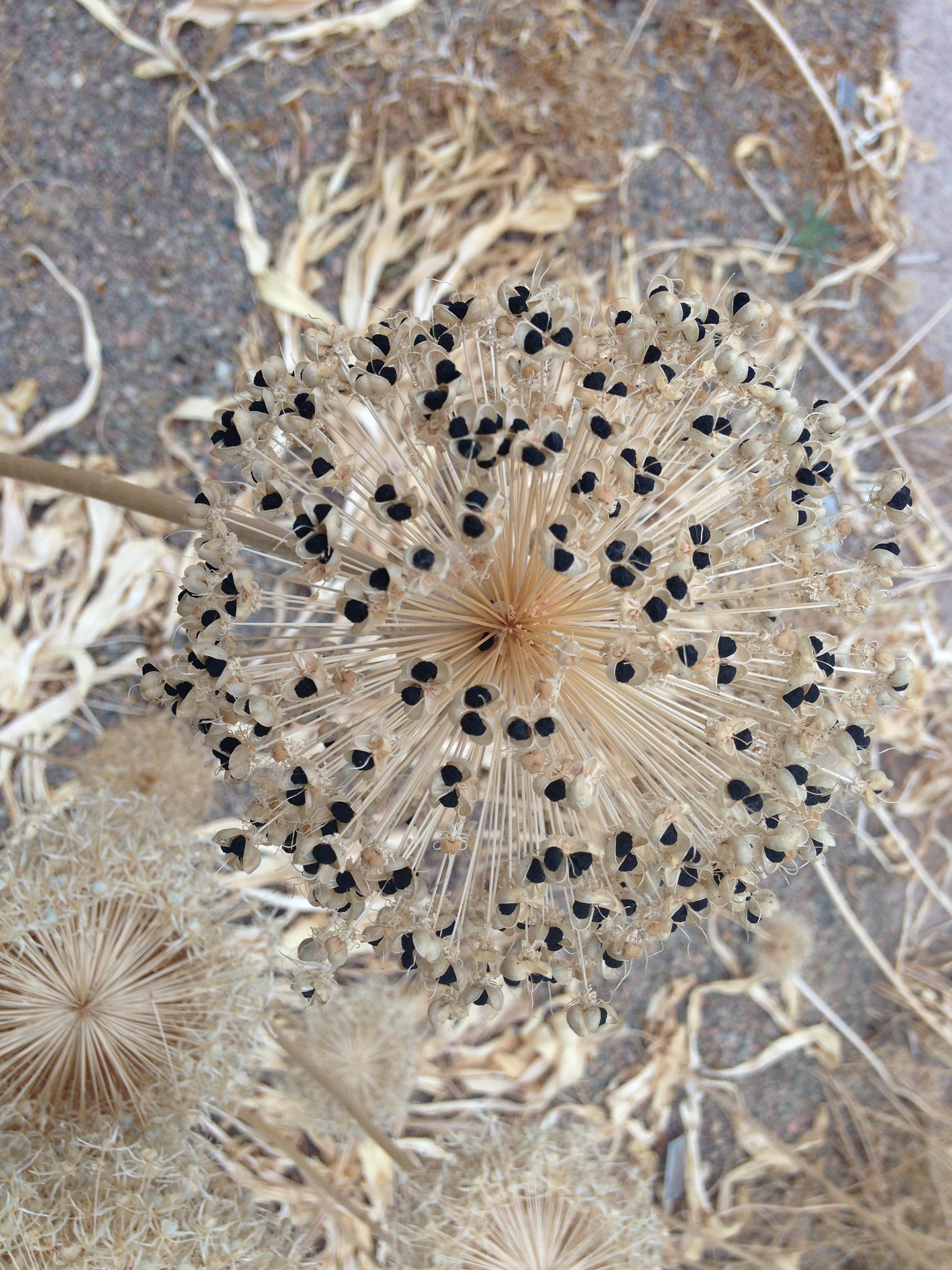 © Snæbjörnsdóttir/Wilson.