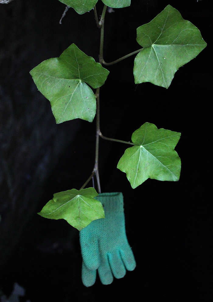 Gunvi Bengtsson, The Little Child Within, fotografi 2016