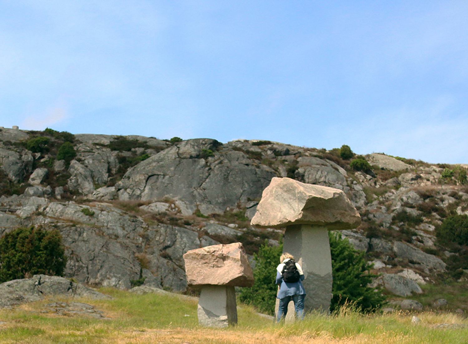 Svampkullen, Pilane skulpturpark                  2013. Foto: Per Agéelii.