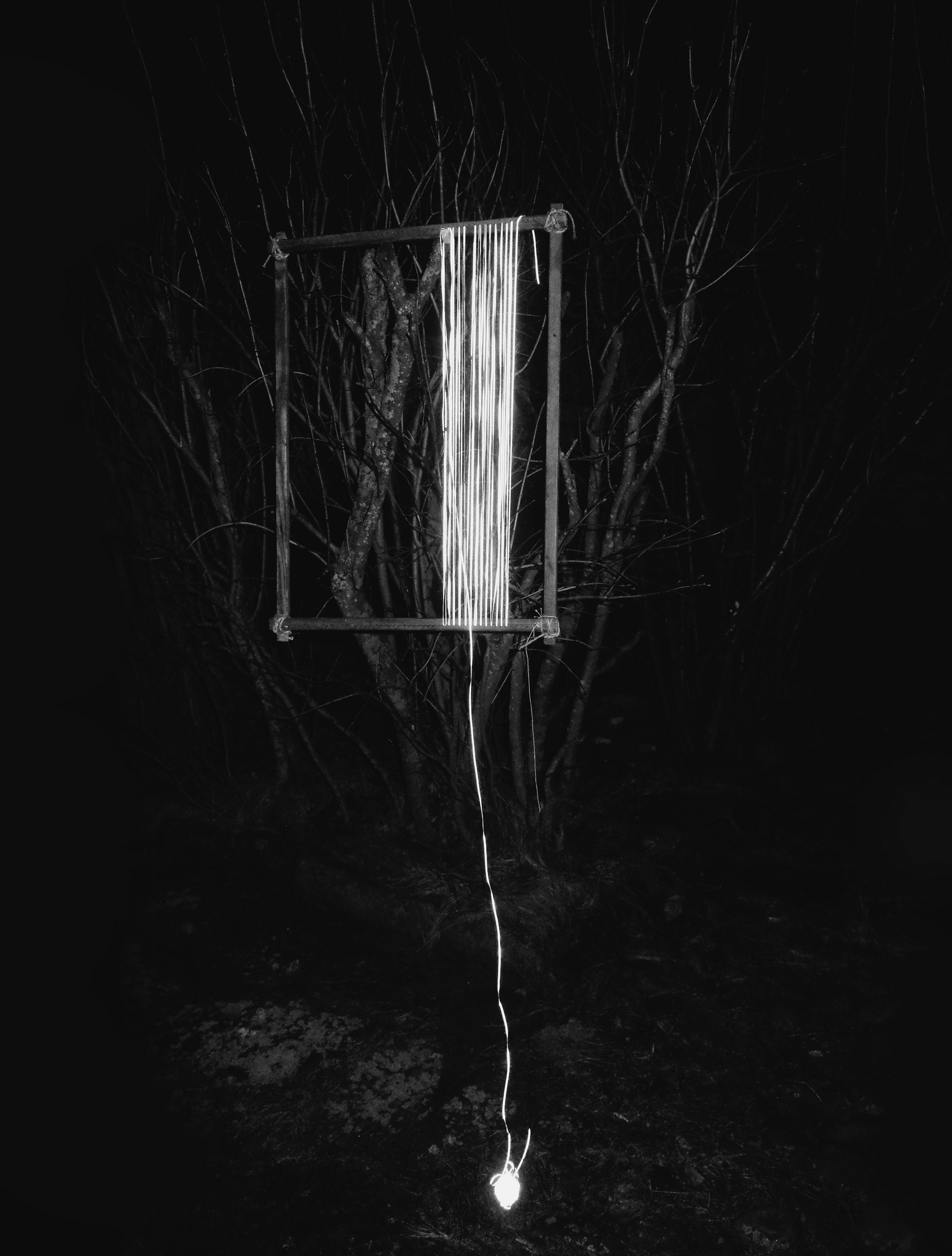 Foto, Kim Westerström