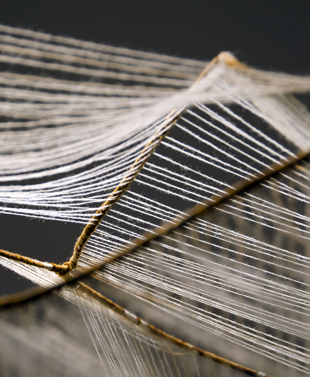 Anni Foglert, del av interaktiv installation. Foto: Linus Lövbacka