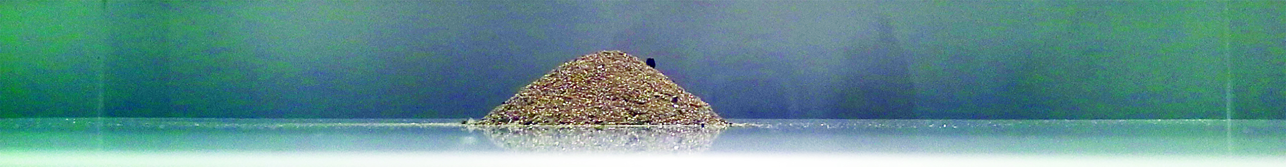 Johanna Zellmer, Meld