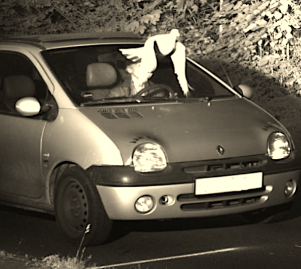 Kreispolizeibehörde Virsen / AP / TT – Annika Lundgren