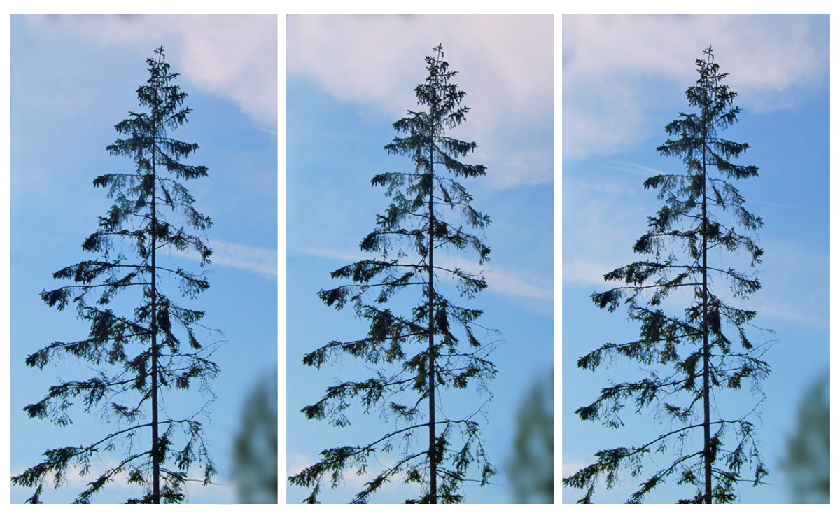 Lena Danielsson Wulcan, Stillbilder från film, 2019