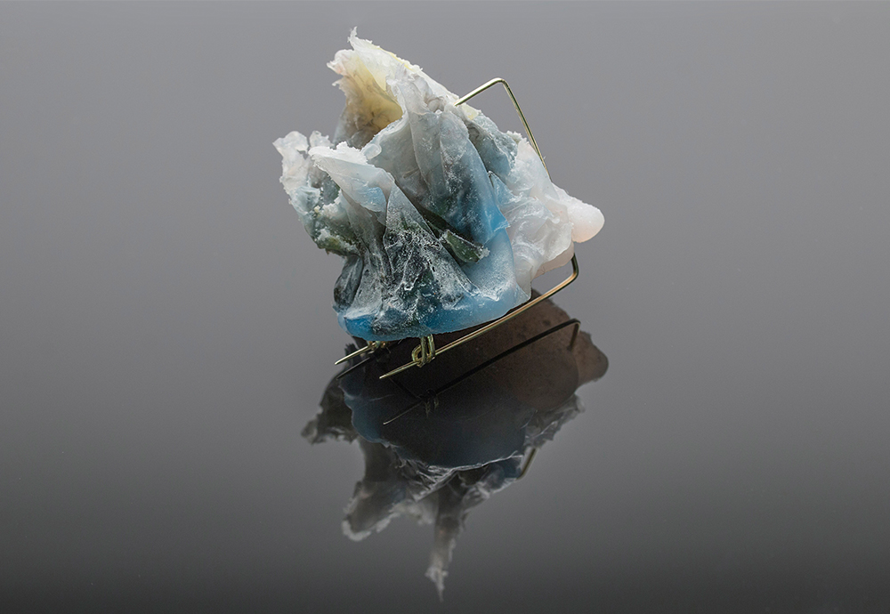 Jelizaveta Suska, brosch