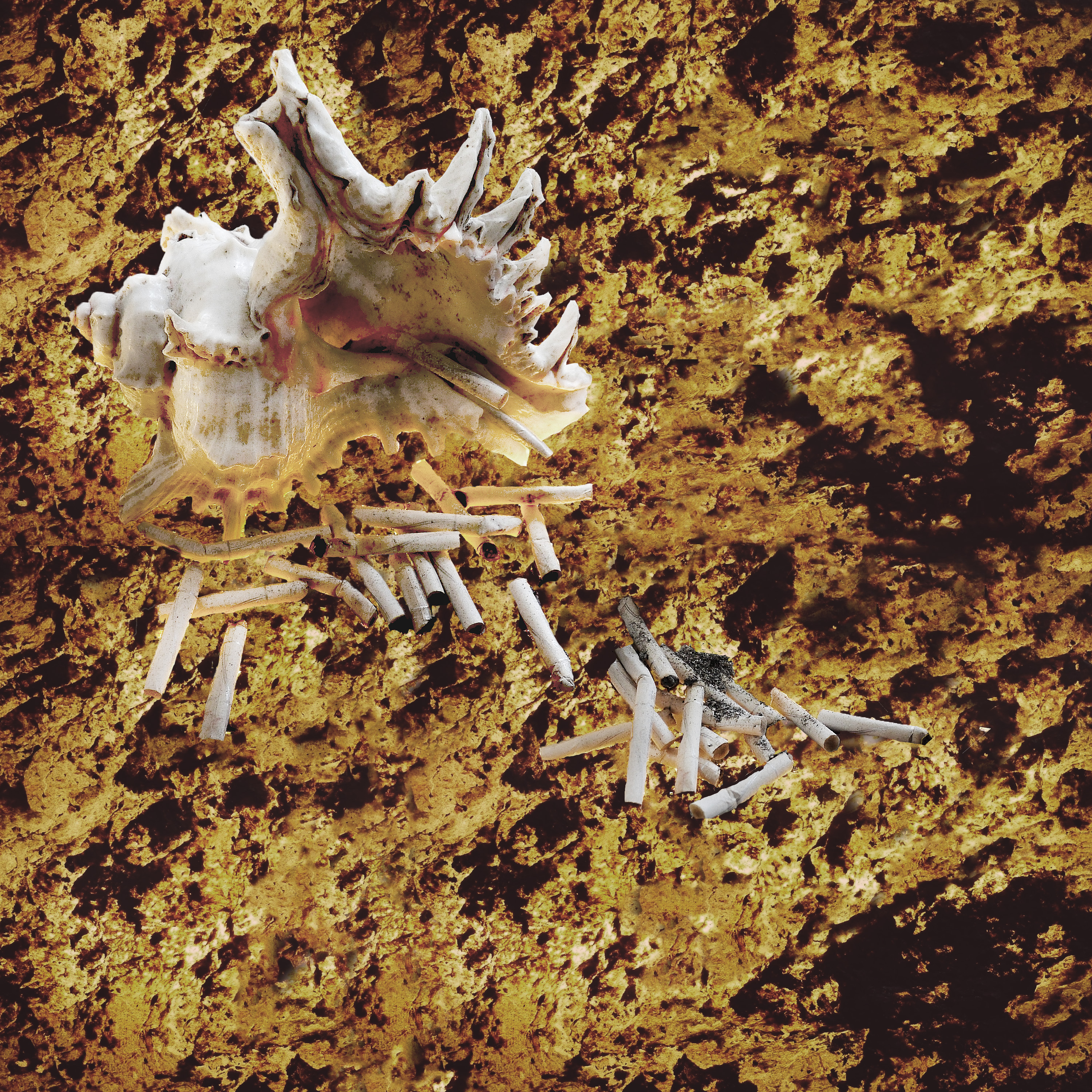 Liminal Minds
— Goda Palekaite