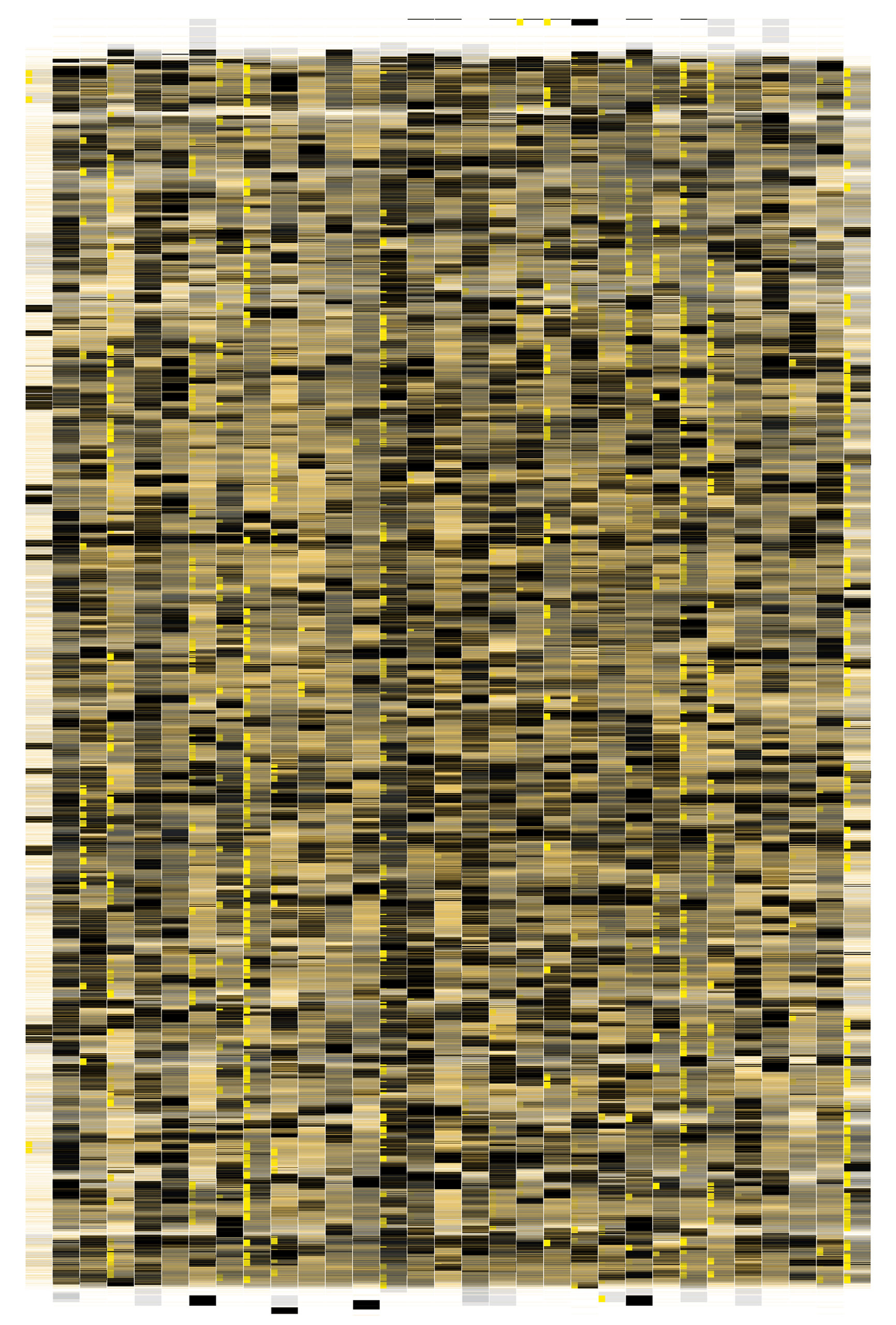 Intervaller Maria Lavman Vetö