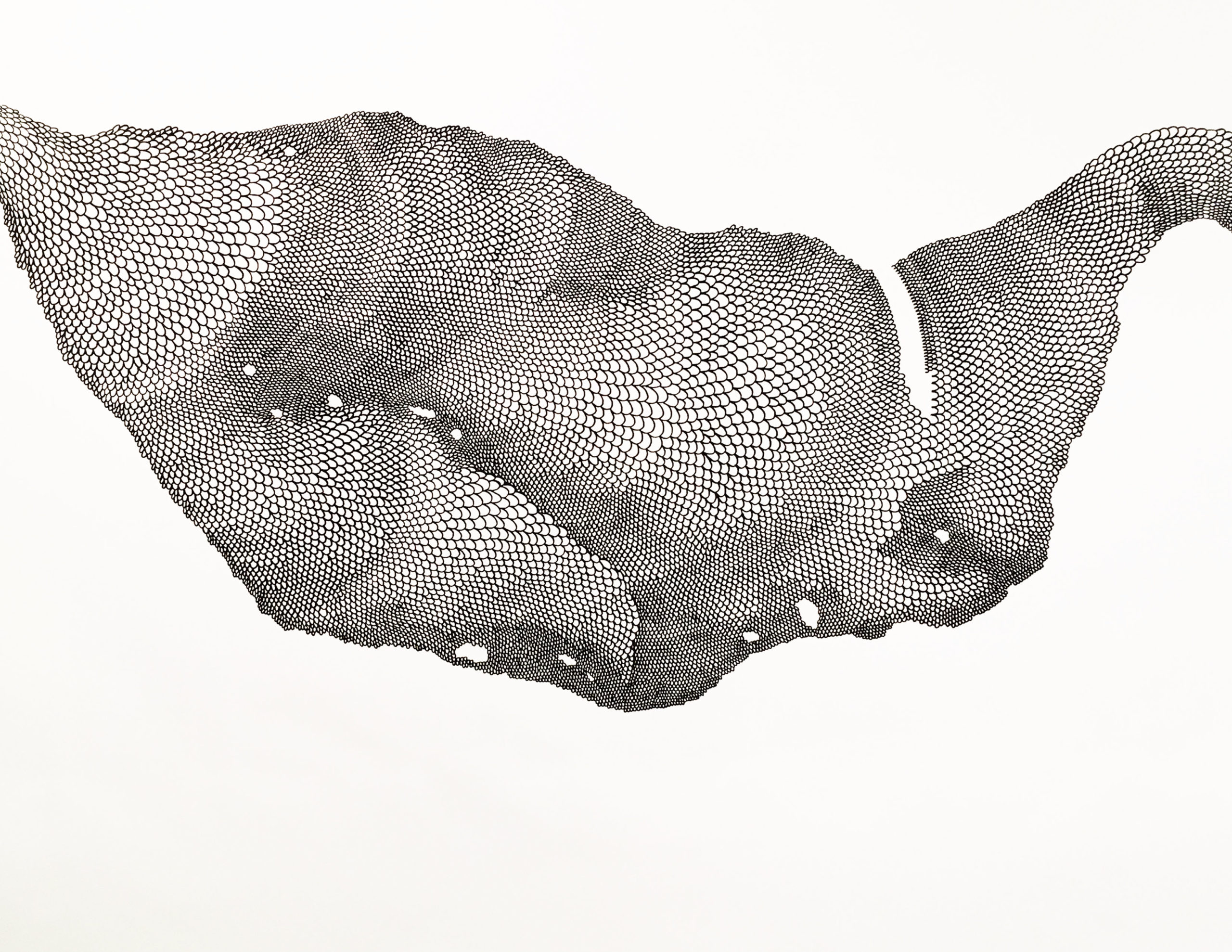 Rocio Soto, Hon. Bläck på duk 8x1.5 m, 2019.