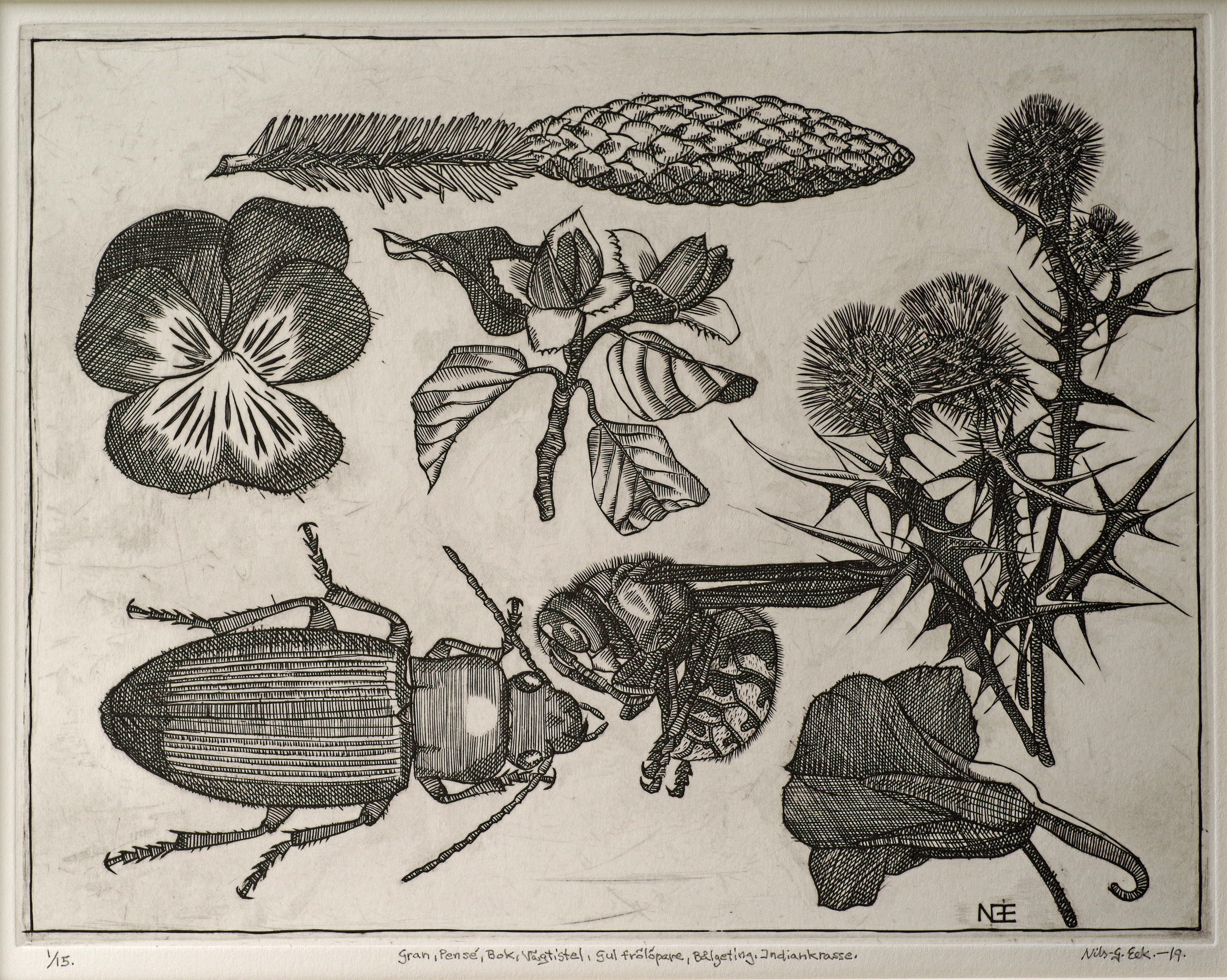 Nils-Gunnar Eek, ”Gran, Pensé”, 2019. Kopparstick, 27x21 cm.