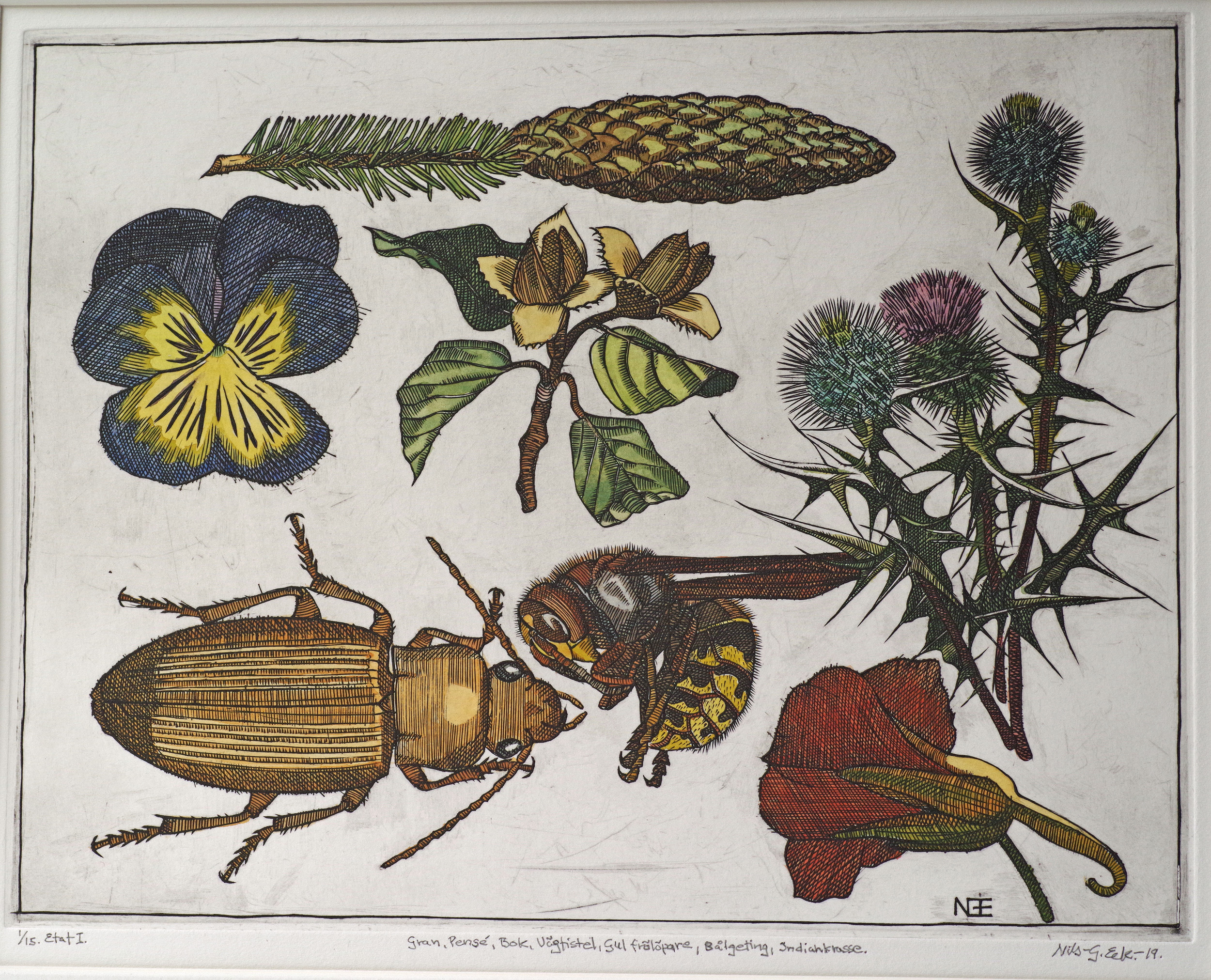 Nils-Gunnar Eek, ”Gran, Pensé”, 2019. Kopparstick, kolorerad, 27x21 cm.