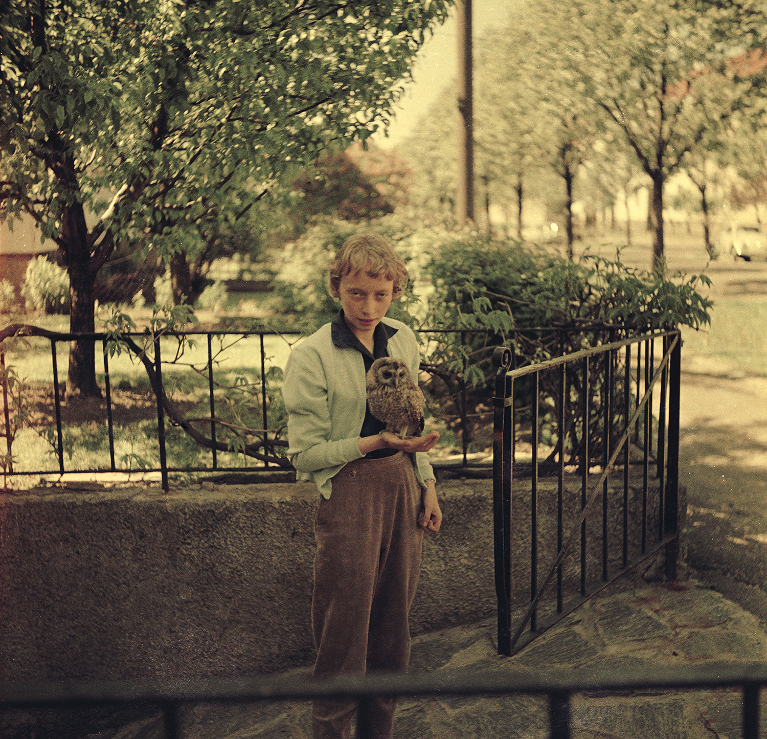 Maria Magnusson, Karin Johansson och Leslie Robertsons utställning, ”The Human Animal Connection”