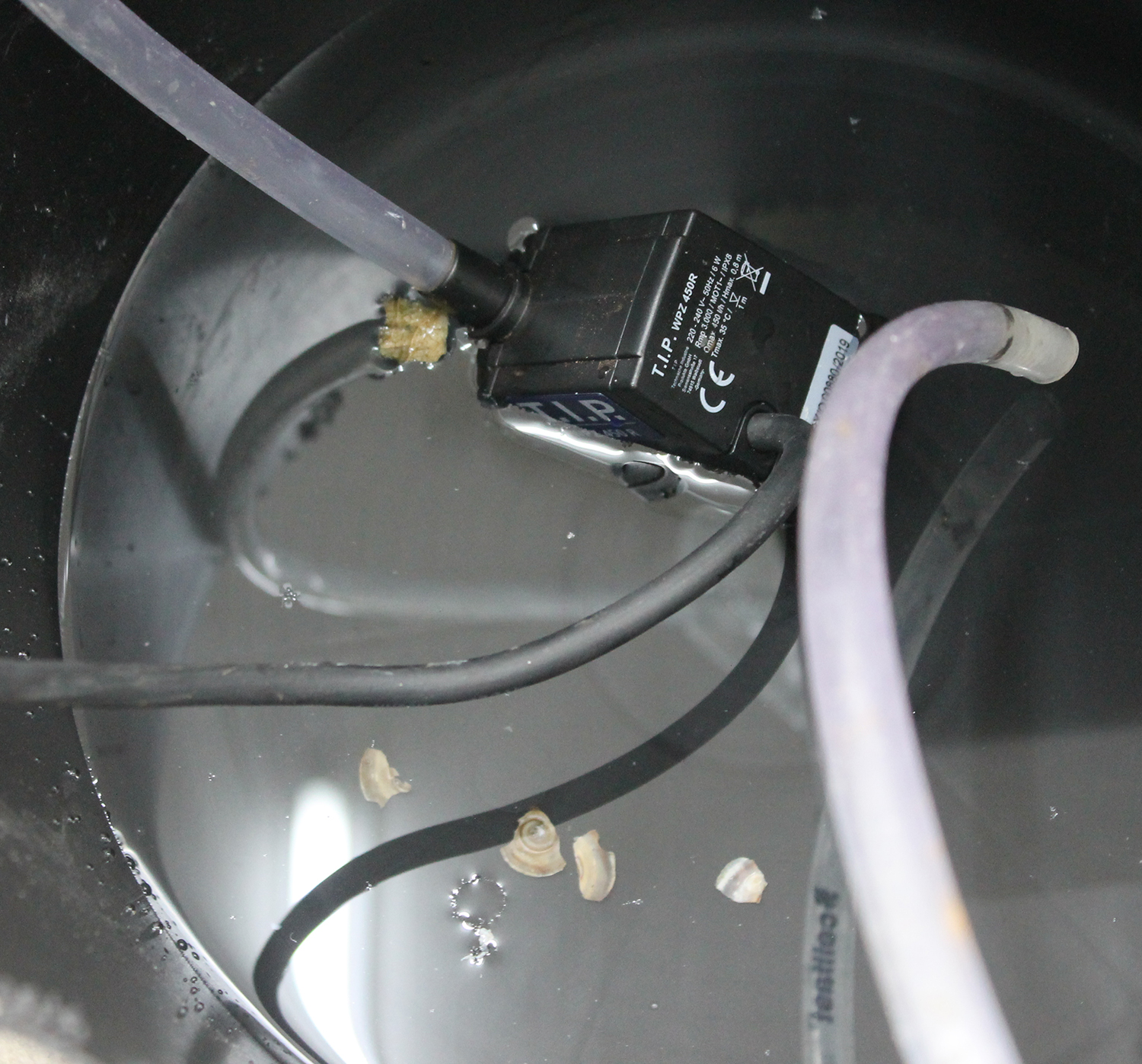 Oda Haugerud, Tongue Twisters