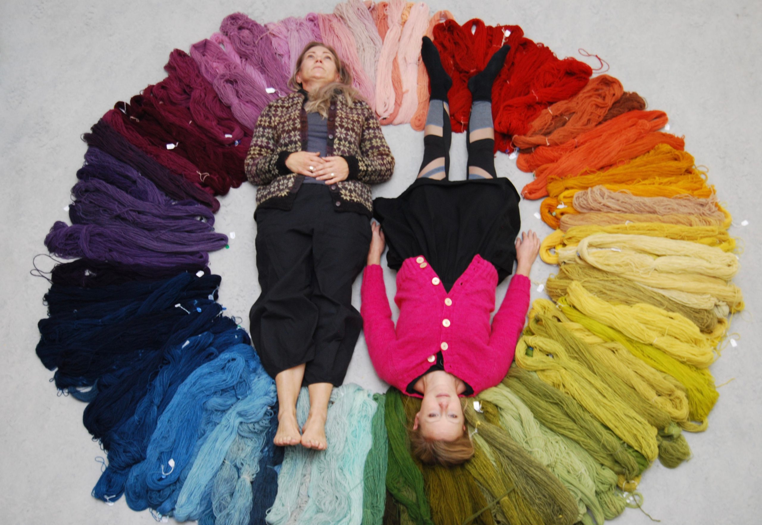 Färga med det som växer på Konstepidemin, växter, lav och svamp