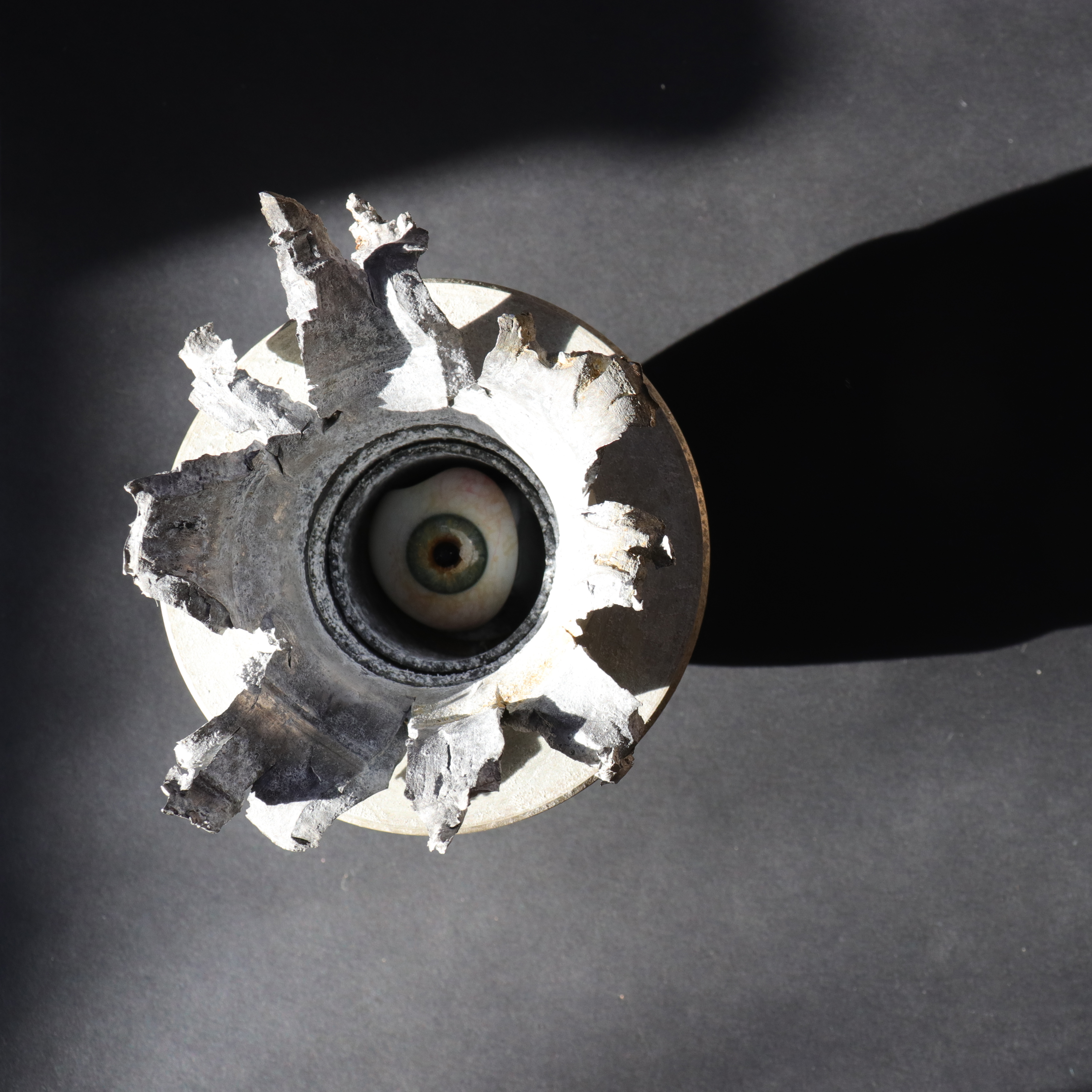 Anne Maria Udsen, WELTCRONIC, ur serien Fältflora. Material: Ammunition, metal, kalksten, glas mm. 2021.