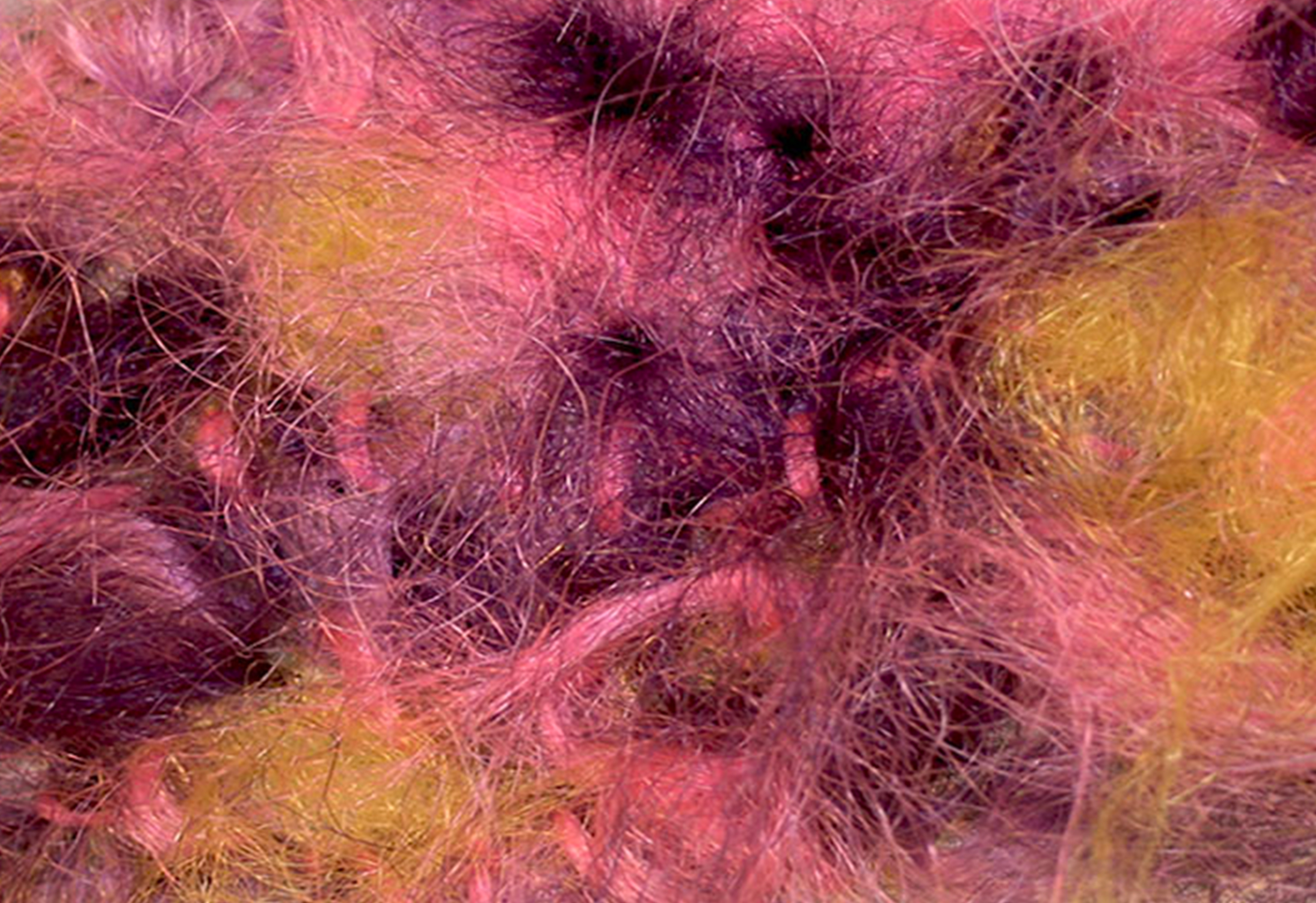 Kimzonite, Kollektion för Fitt-Förstoring, syntethår i textil, 2021.