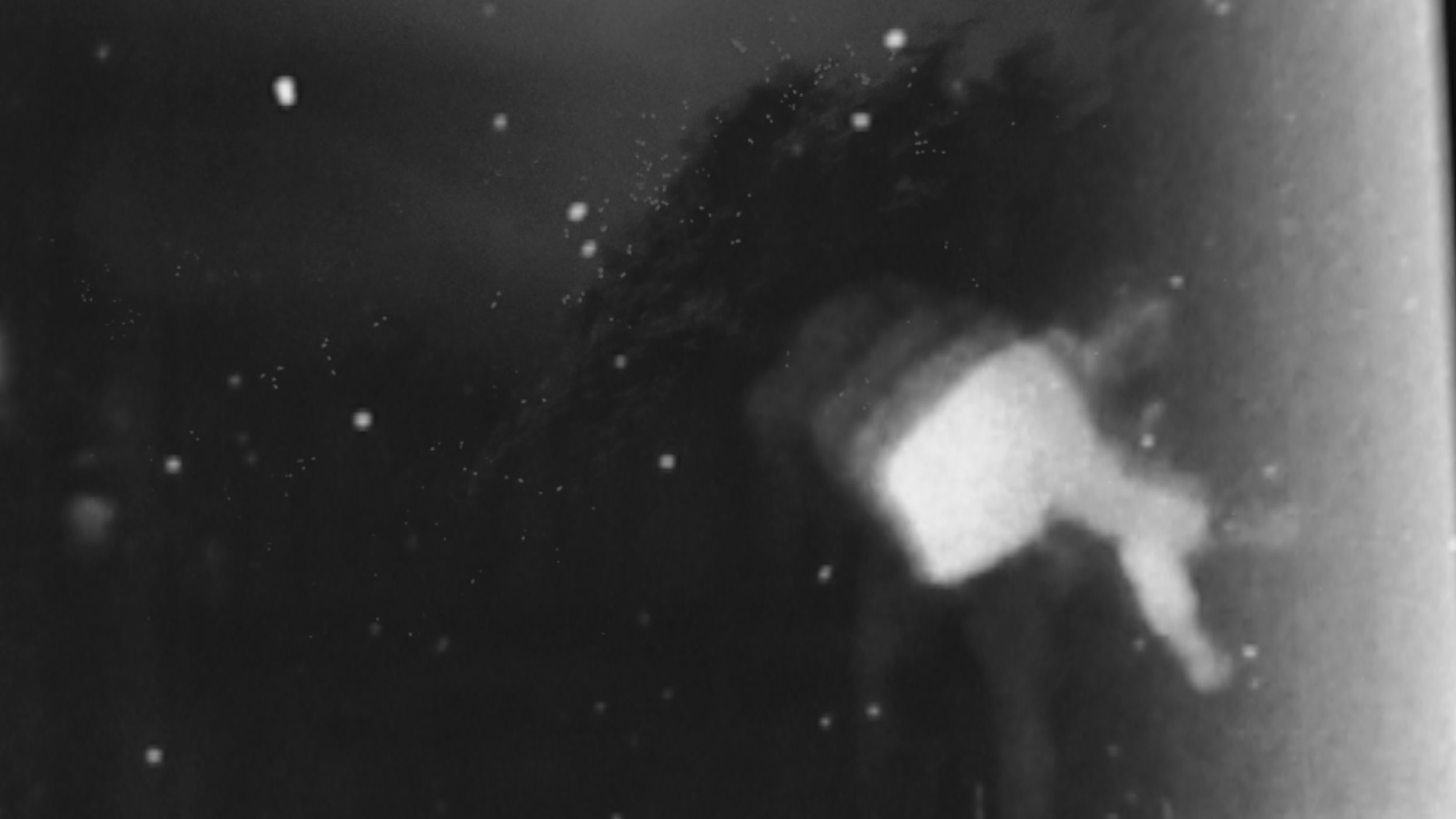 Stephen Noon, Easter, 2021