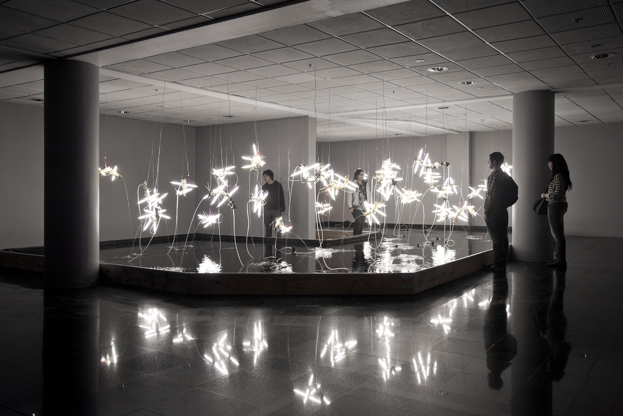 33 sculptural fountains made with resin, bones, fluorescent tubes and electrical circuits. Each piece acts as a detached fragment of the DNA chain, which harmonically suspended and reflected in the water, make up a scene that aims to point out concepts related to life and death, love and hate, pleasure and pain, which they intensify with the tension between electricity and water.