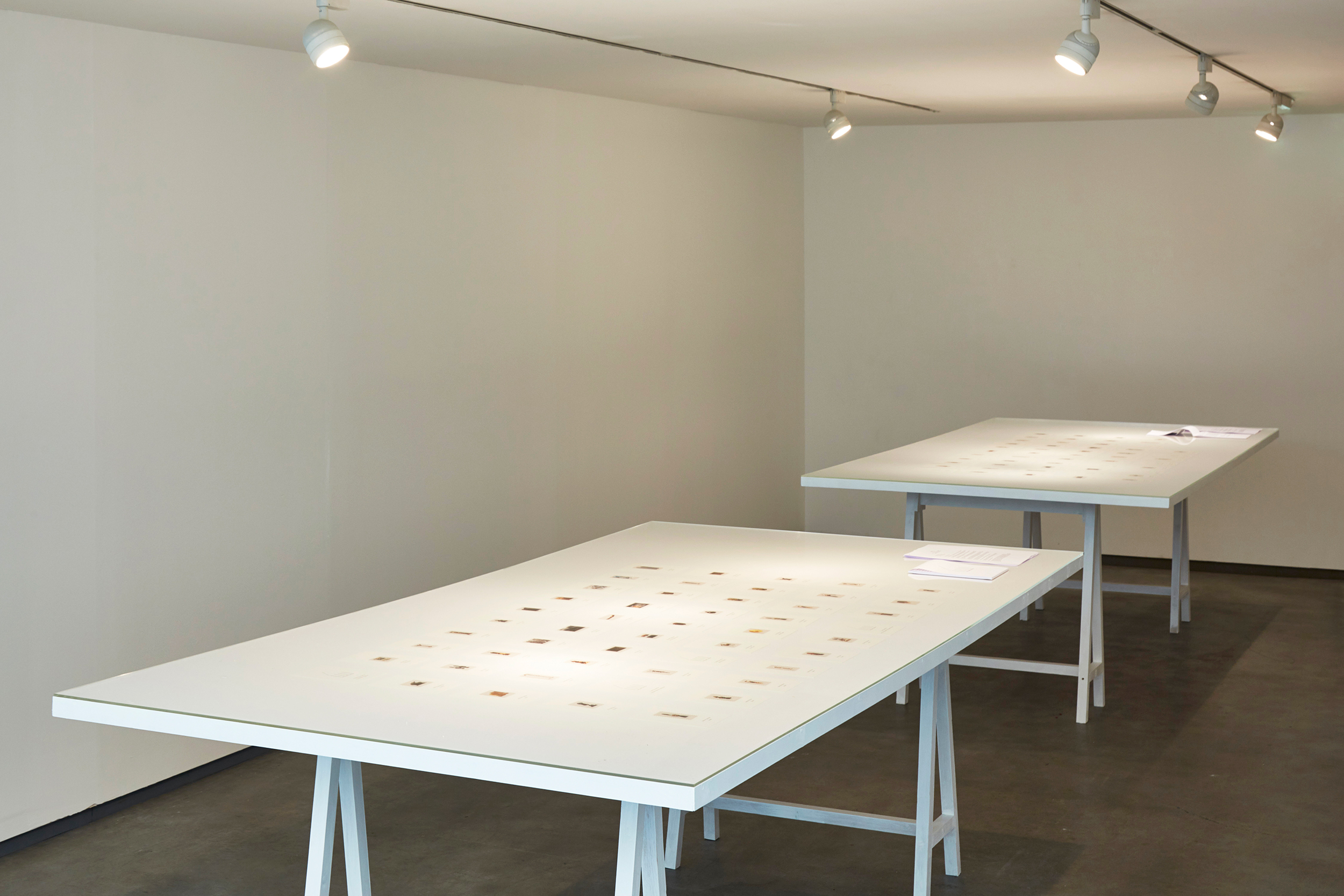 Ana Mendes, The People's Collection, printed media, 2015-on-going. © Simon Mills