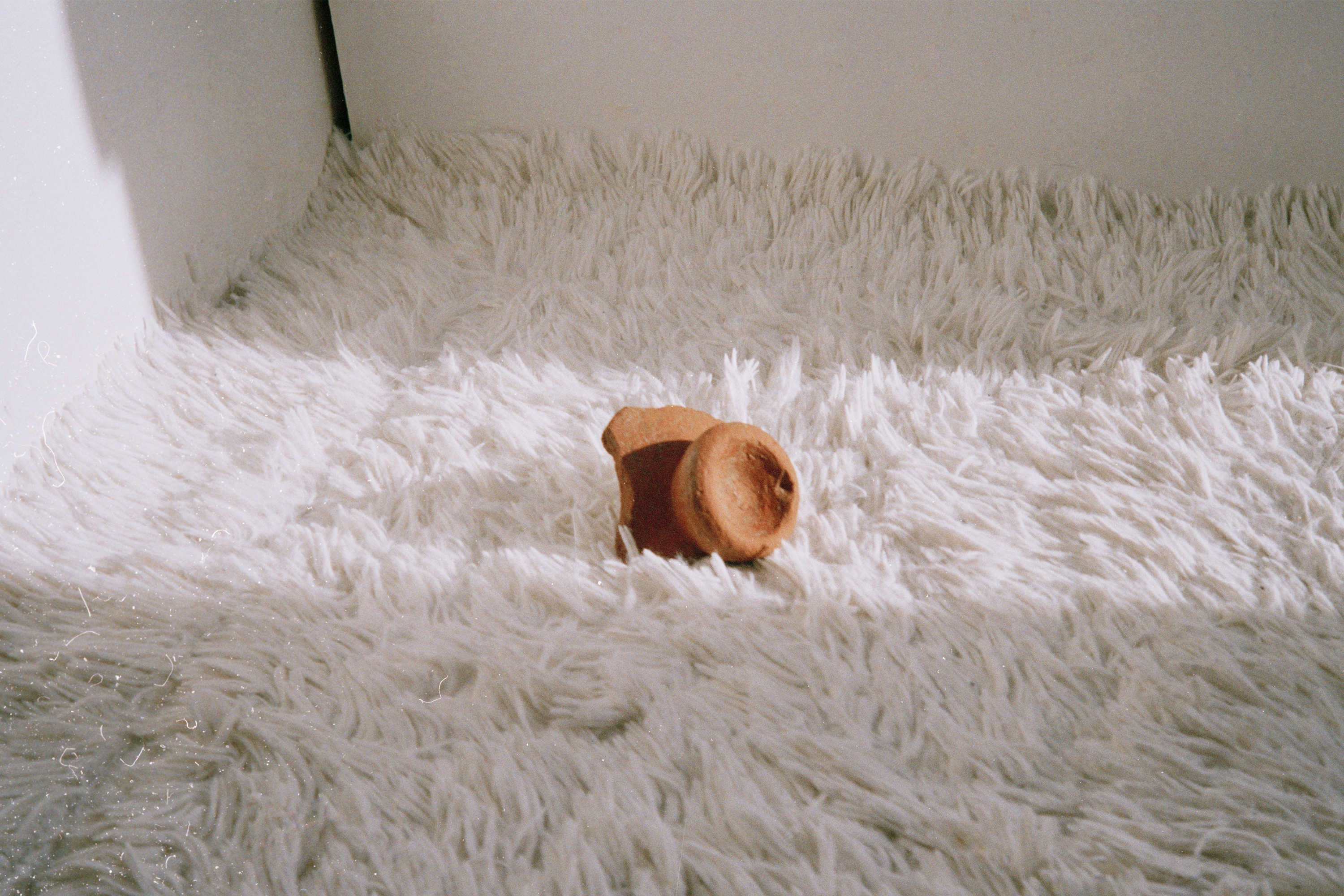 Emma & Conti, I am forever realising things too late, inkjet print