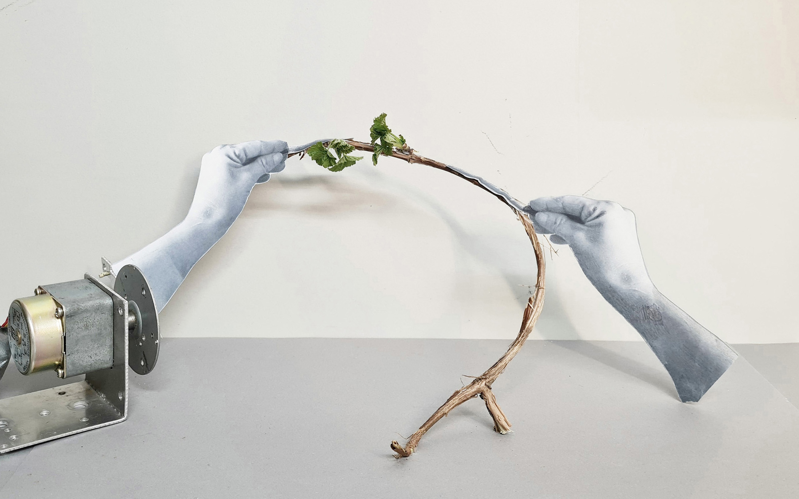 Malin Bogholt, Diorama, collage med motor, 2021 