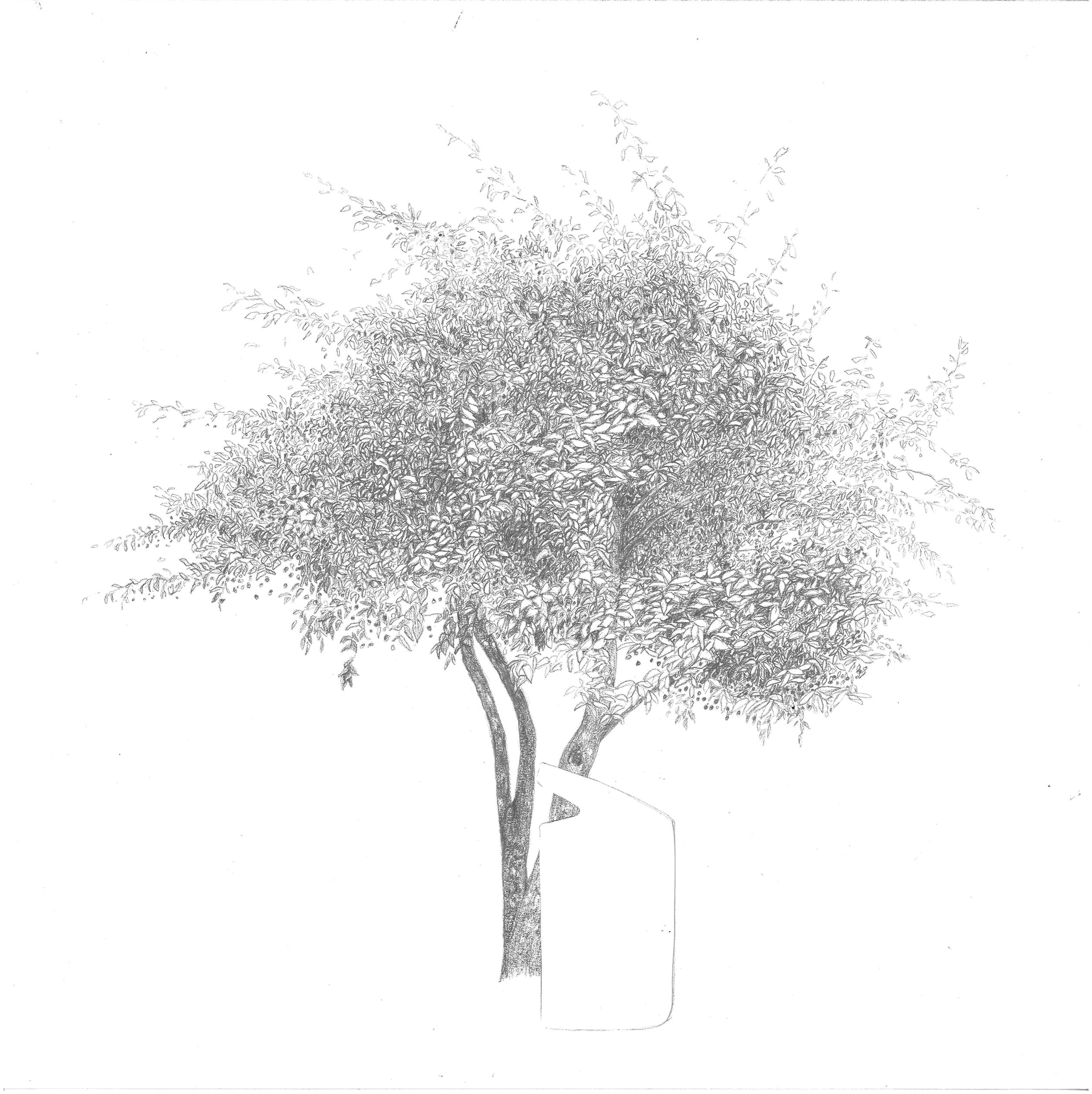 Mona Wallström, City Tree Göteborg 1