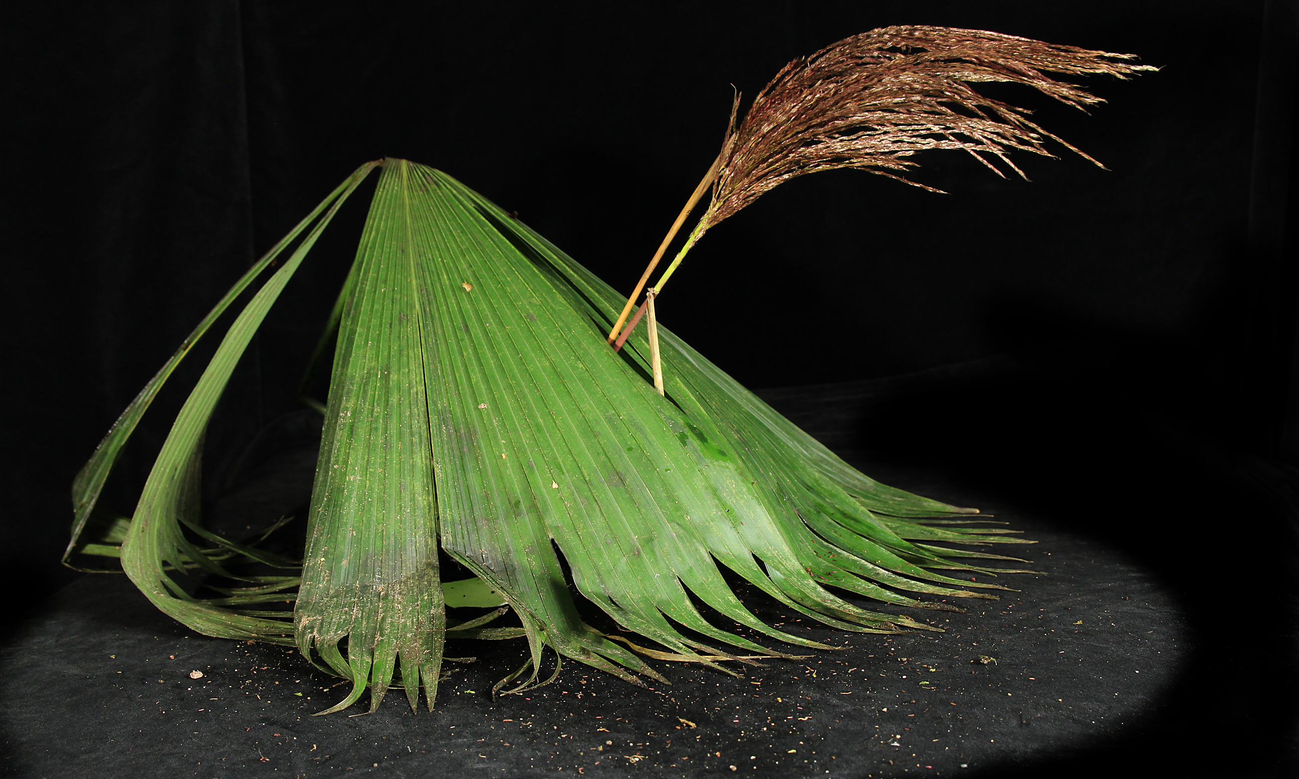 Foto: Ulrika Jansson