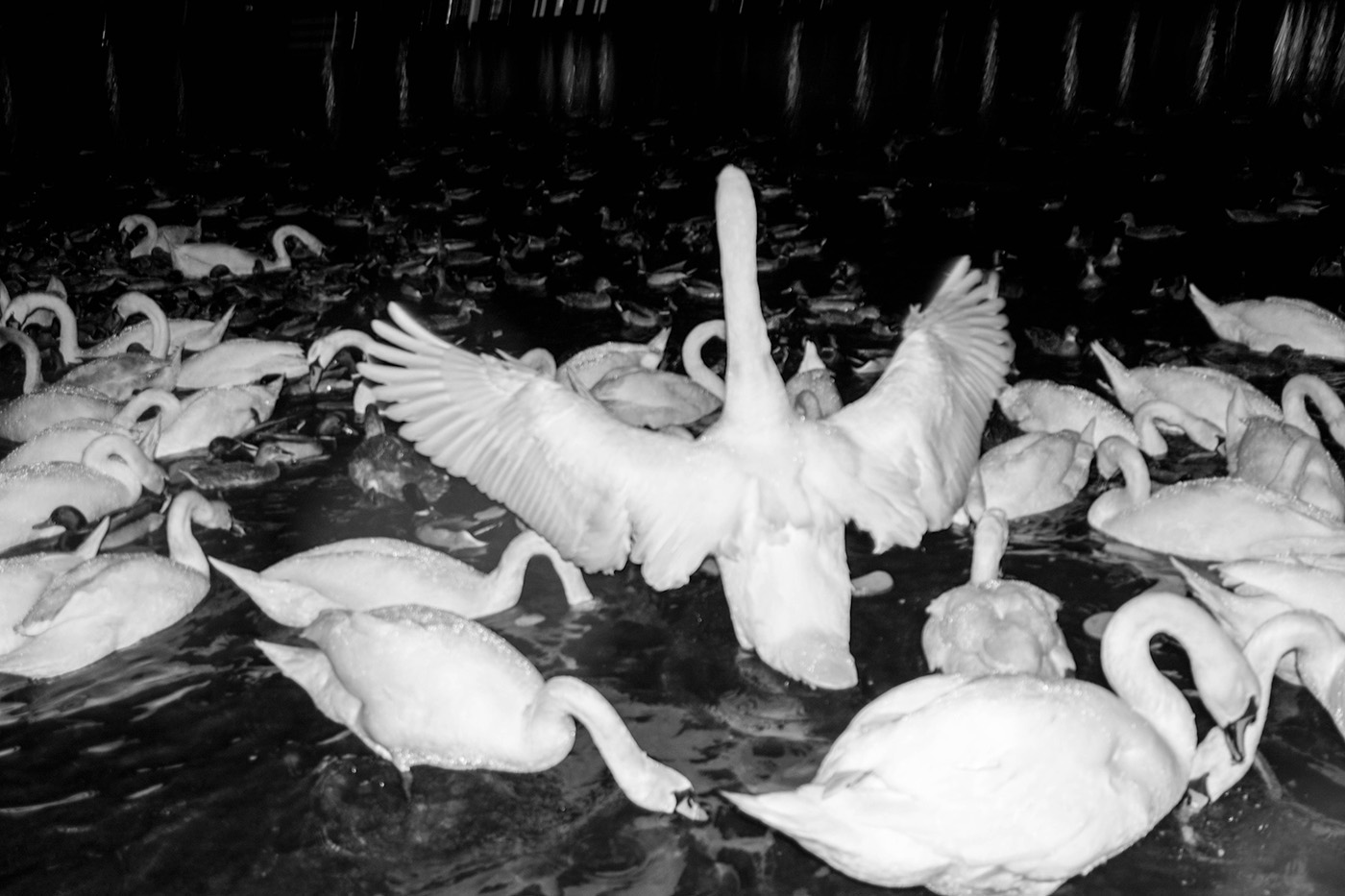 Dark Water, excerpt from handmade artist book, 2017