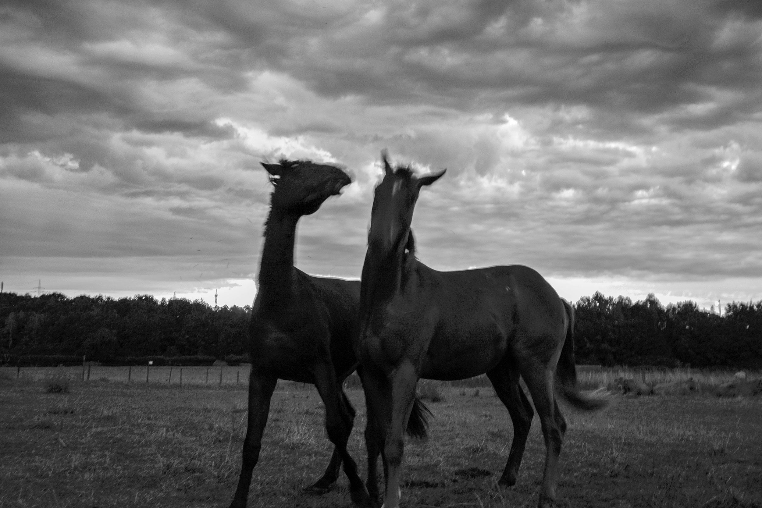 Photo: Camille Bonneau