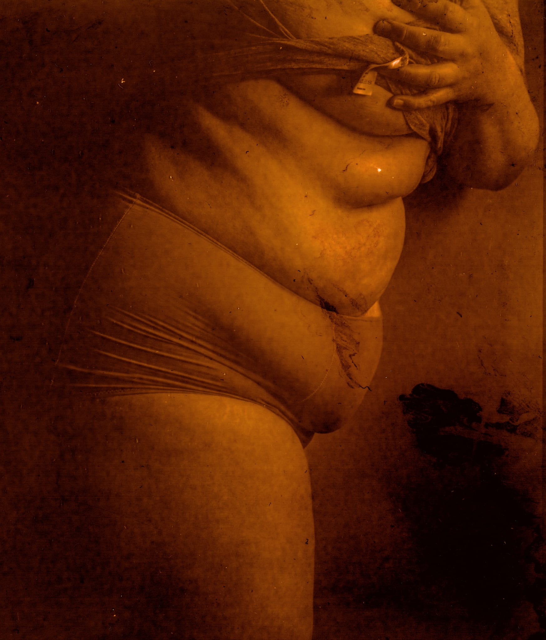 Petronella Aslund, I AM FAT