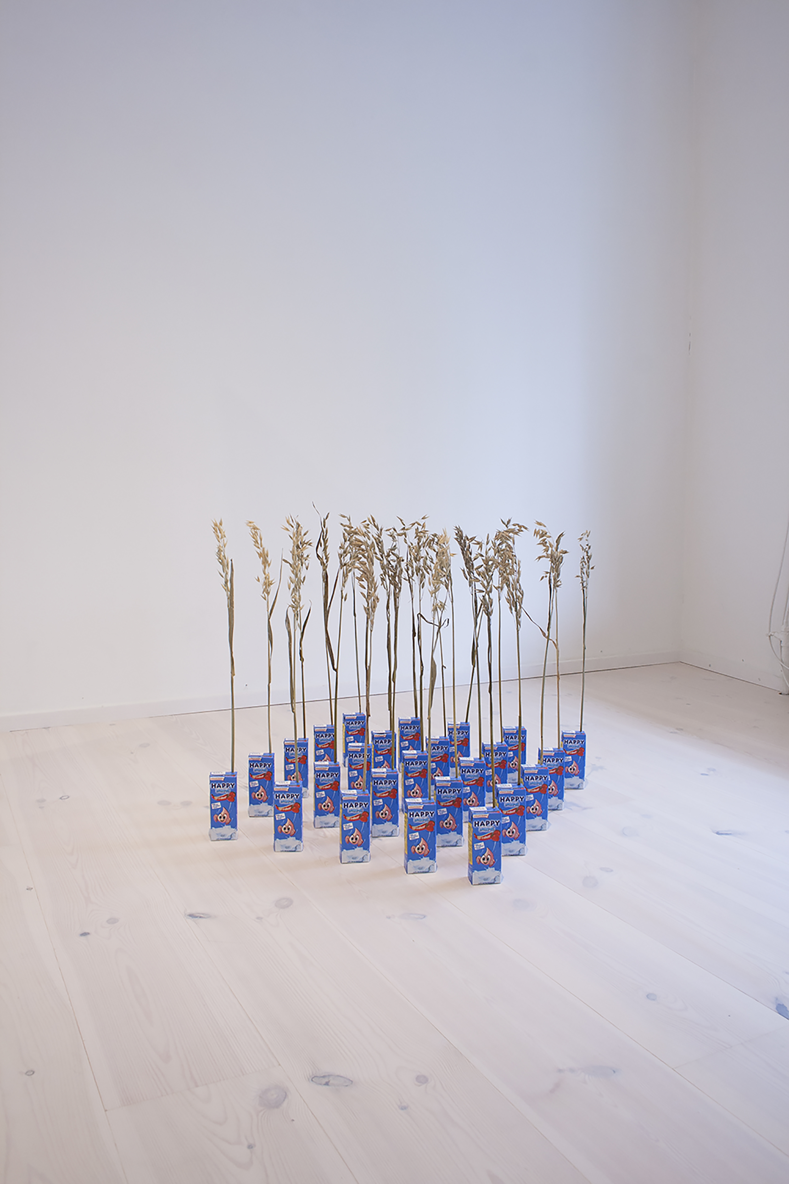 Sara Andreasson, Strawberry Flavored, i utställningen kommer versionen Blueberry Flavored att visas