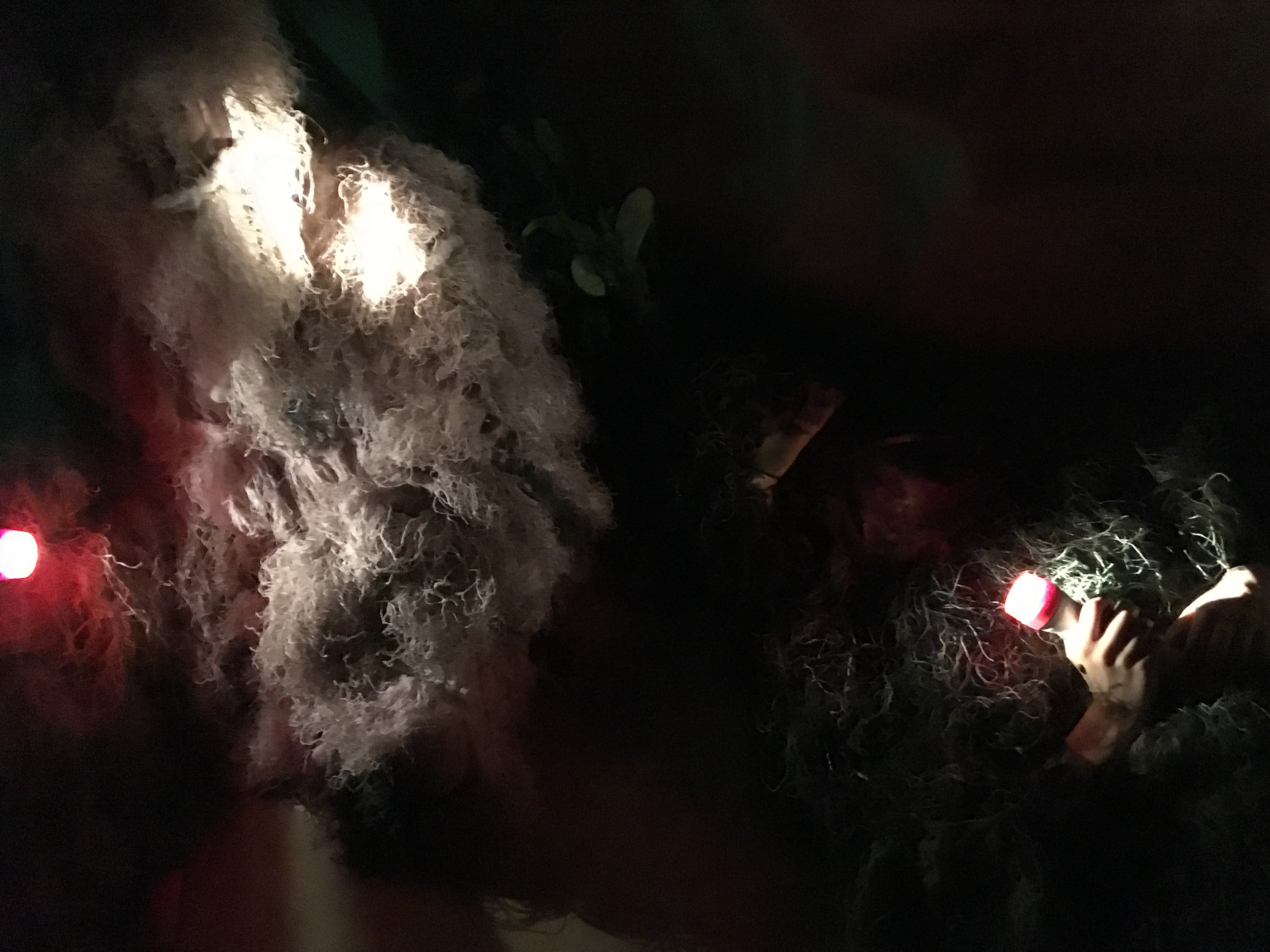 Cecilia Sterner Förbisett, bortglömt och utelämna, blandteknik, 2022 Foto: Hans Appelqvist