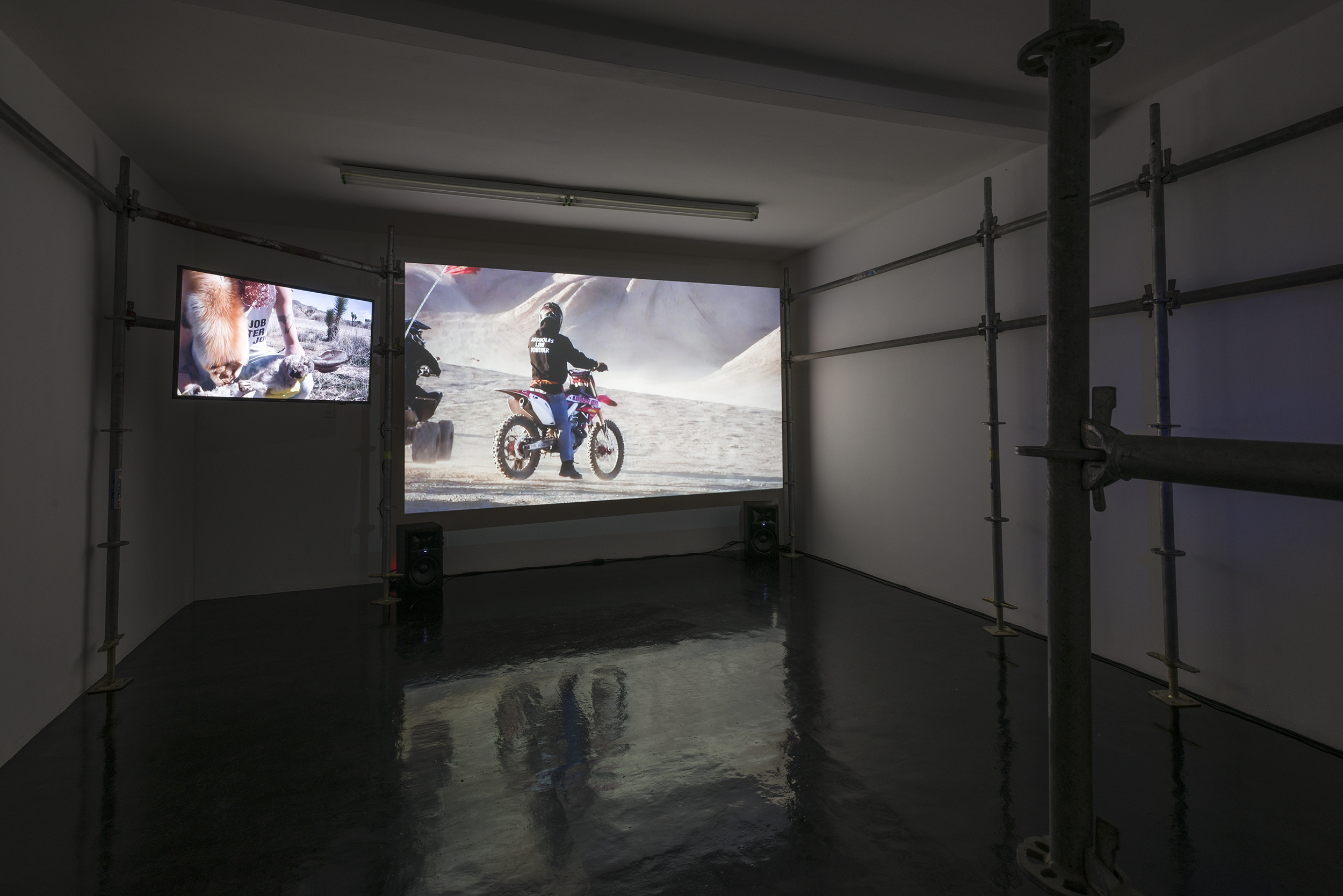 Max Göran, Assholes Live Forever, 2019, 2 channel HD Video installation, Scaffold