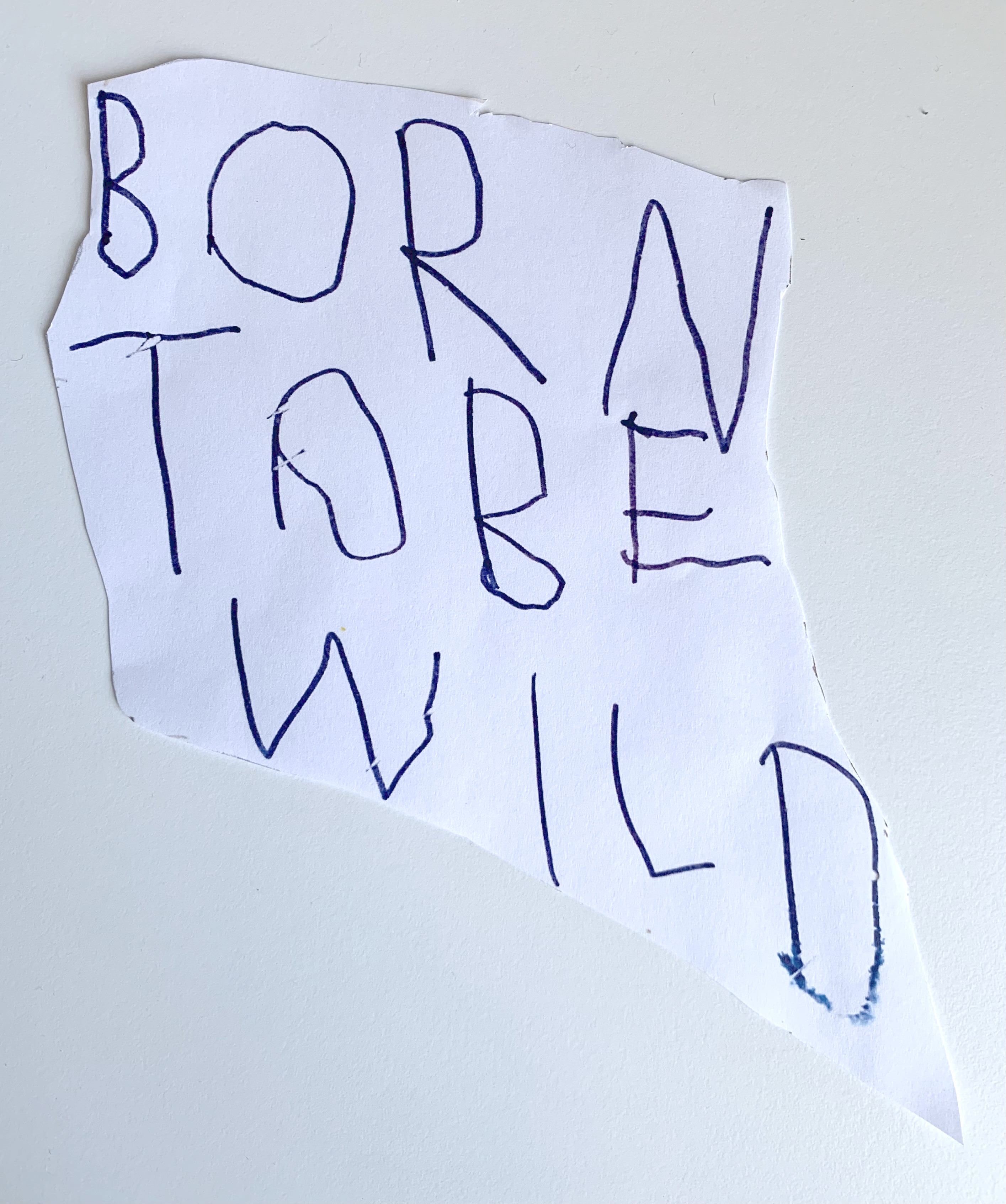 Living in World War III, Azadeh. E. Zaghi, 2022