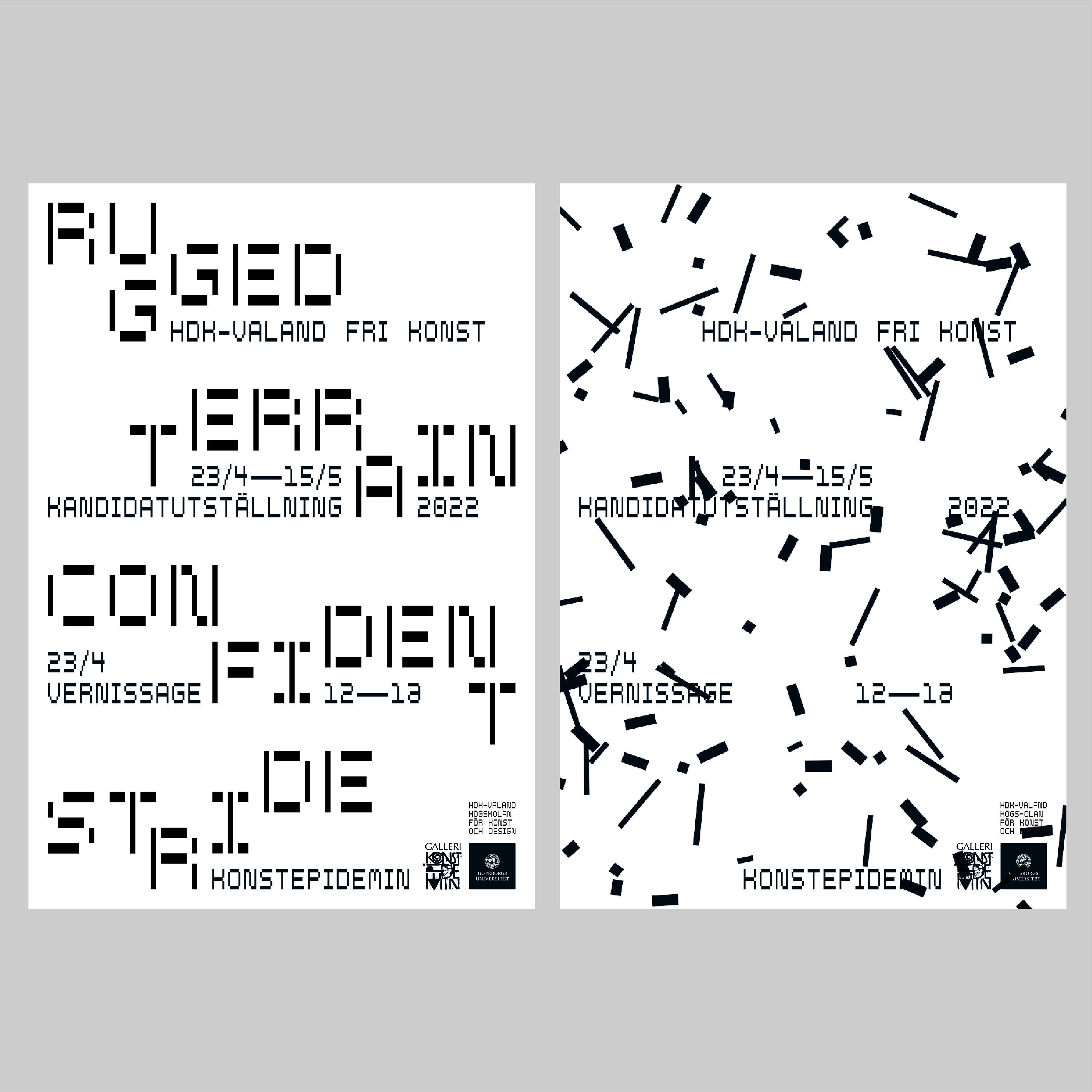 RUGGED TERRAIN / CONFIDENT STRIDE. HDK-Valand, Fri konst kandidat.