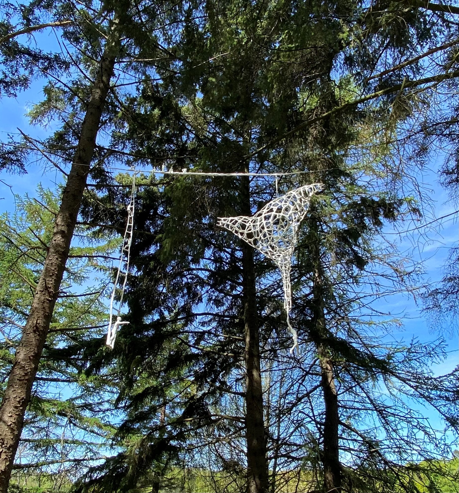 Britt Ignell, En räddningsaktion.