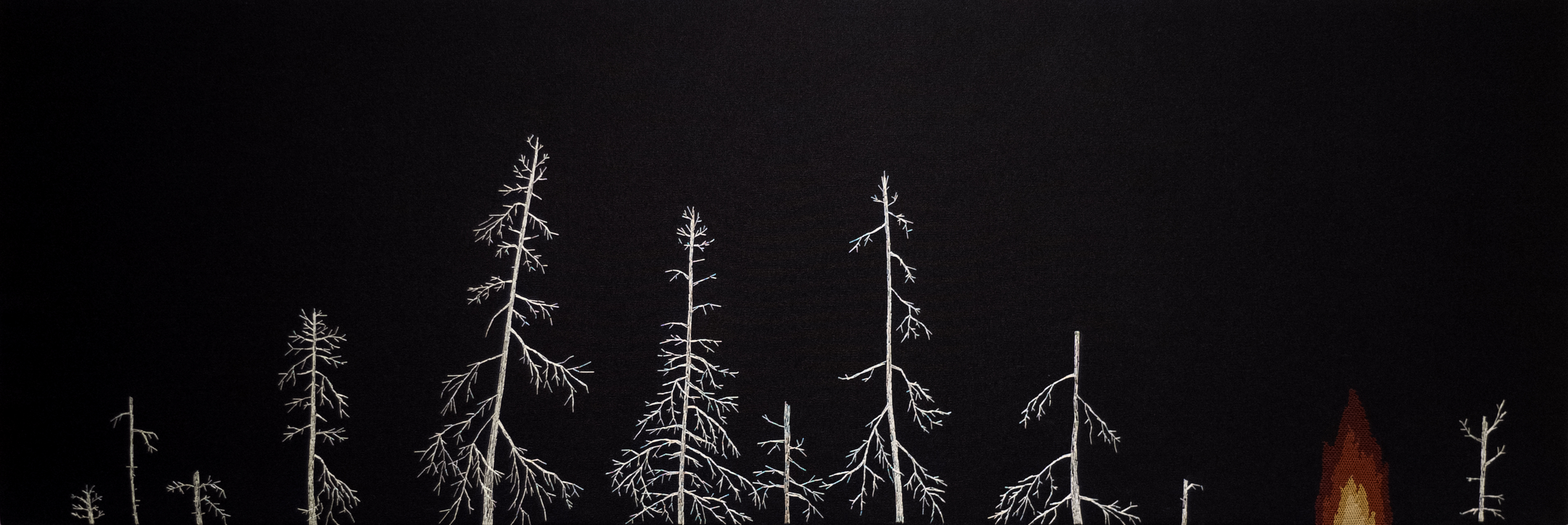 Viktoria Andersson, Scenario l