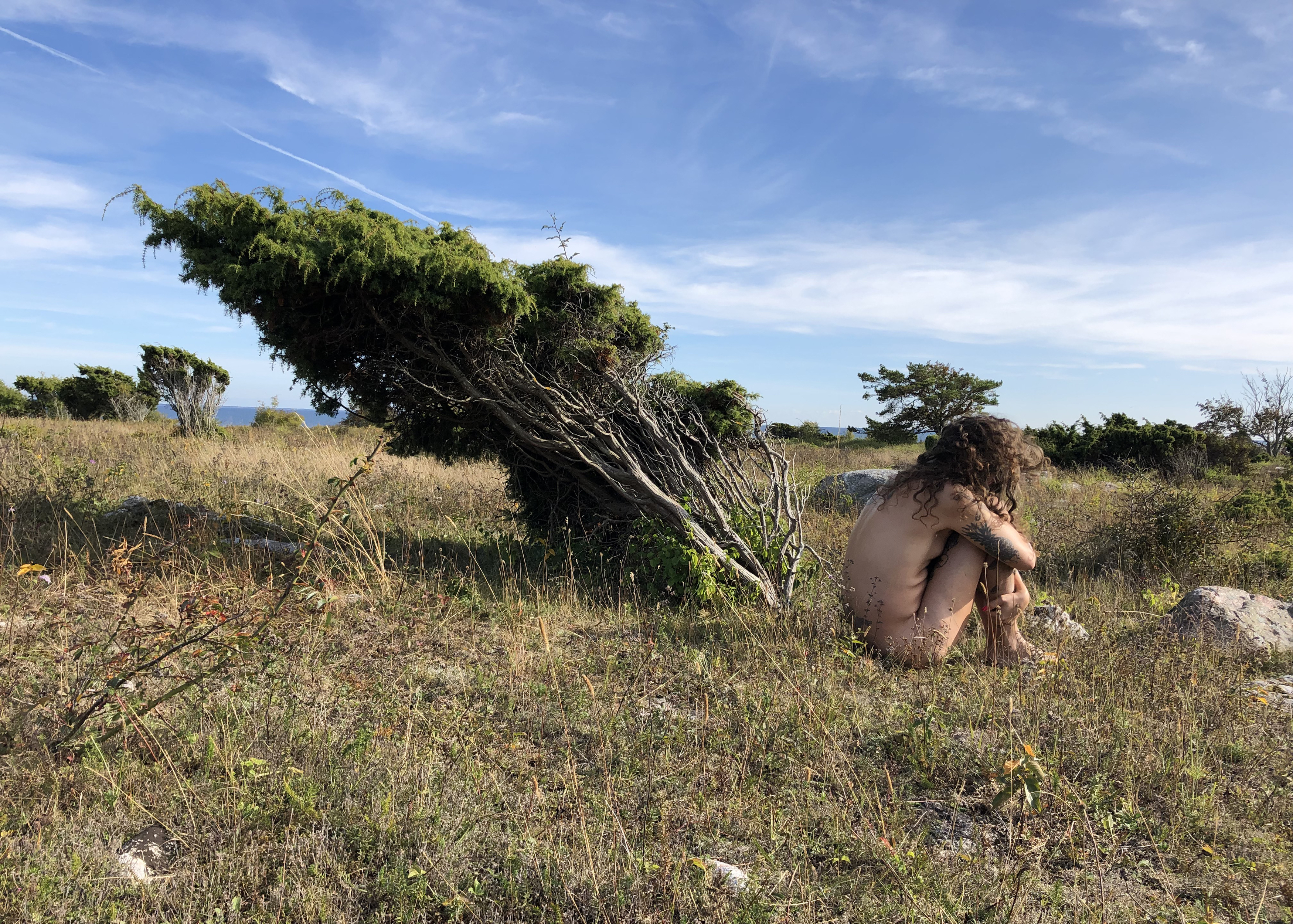 Zafira Vrba Woodski_Juniper is my pronoun. 2019. Foto: Zafira Vrba Woodski