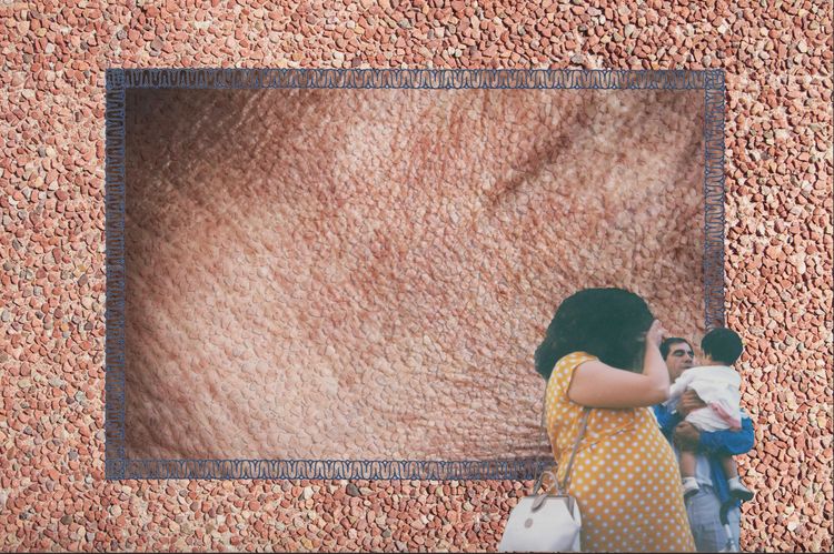 Rötter, digital collage, 2021