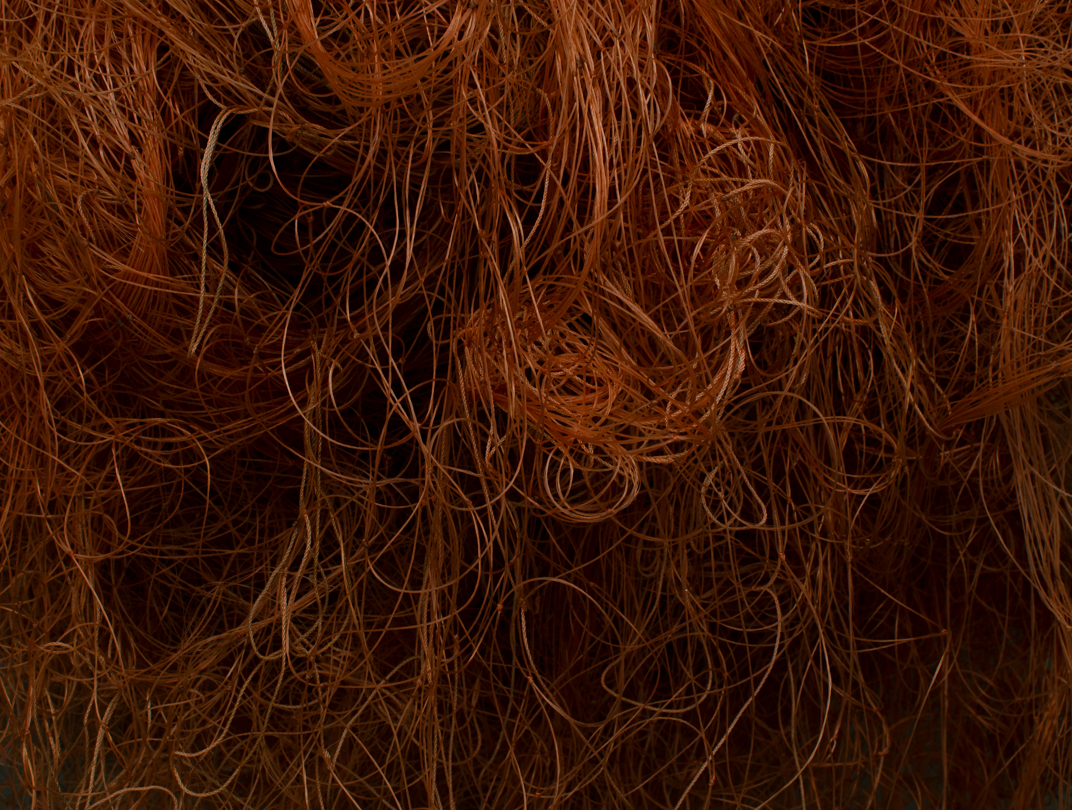 Matilda Lindblom, We seem to be trapped. 2022