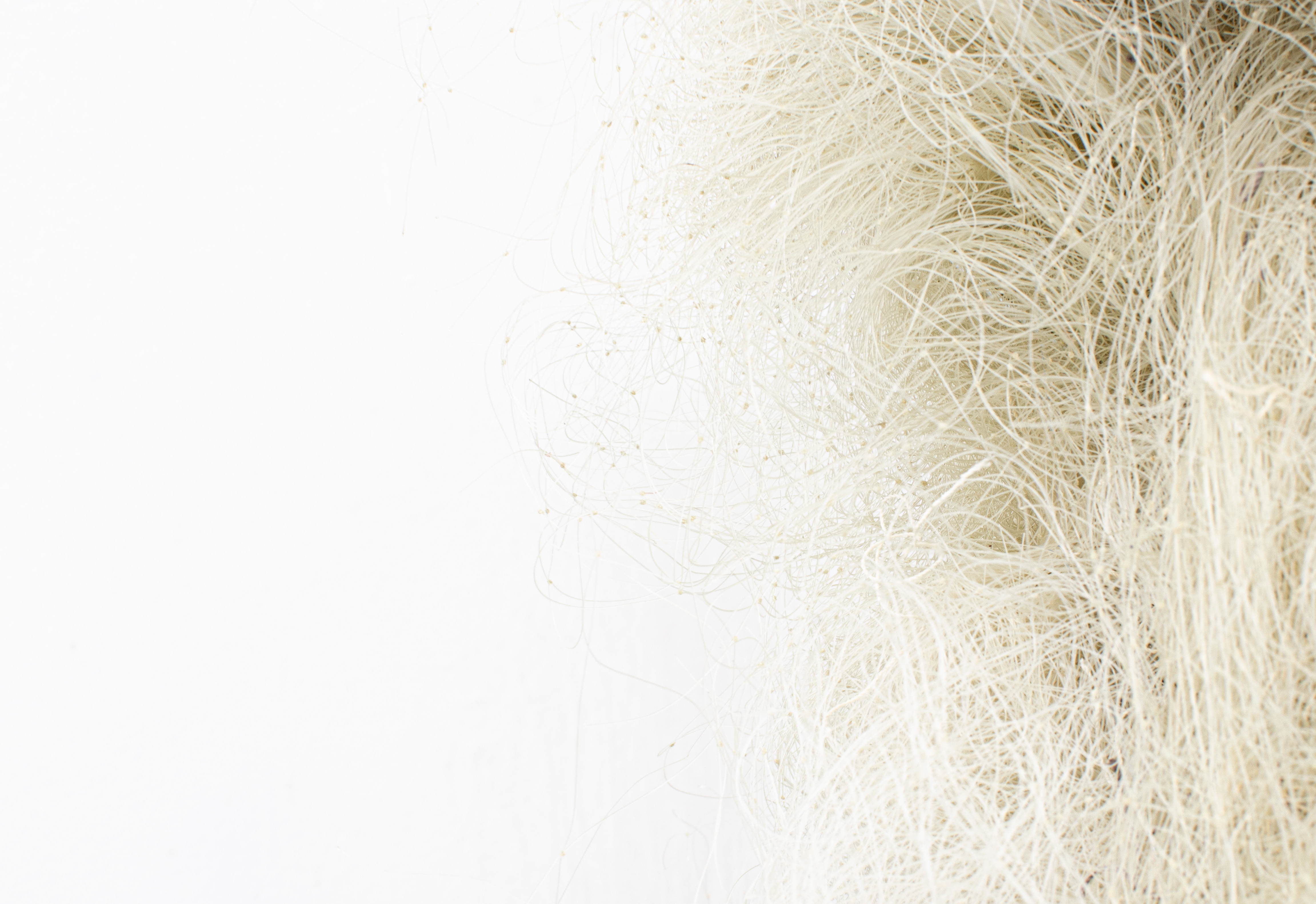 Matilda Lindblom, We seem to be trapped. 2022