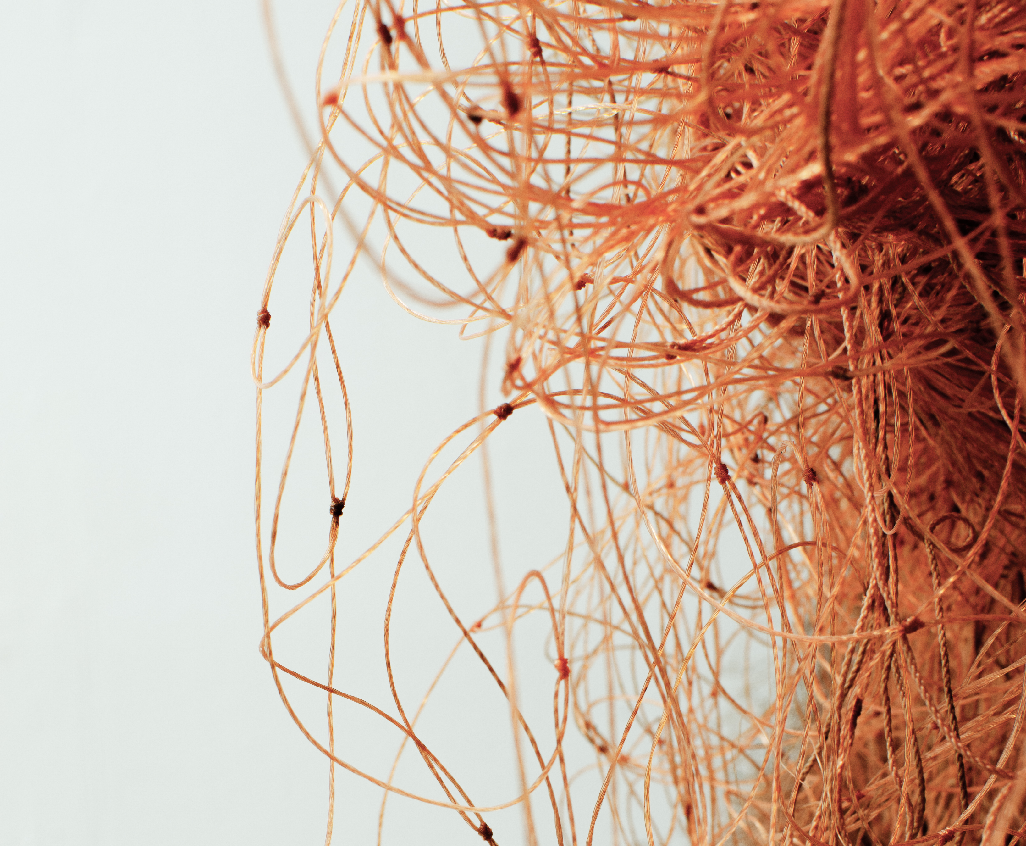 Matilda Lindblom, We seem to be trapped. 2022