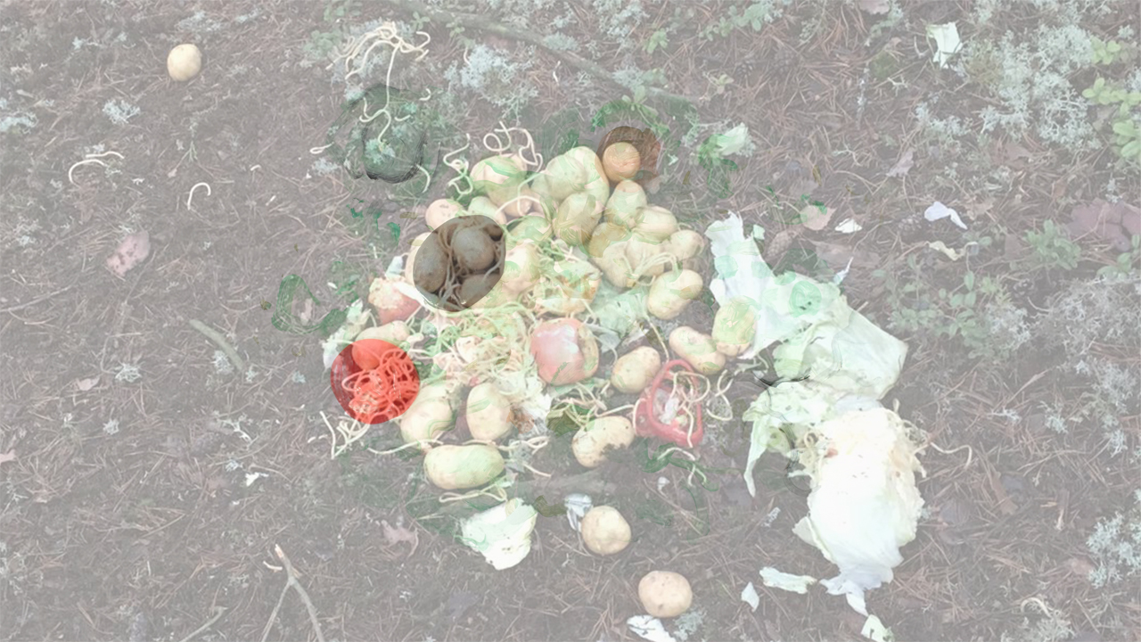 Asami Togawa, Hibernation Chapter 2. 2022