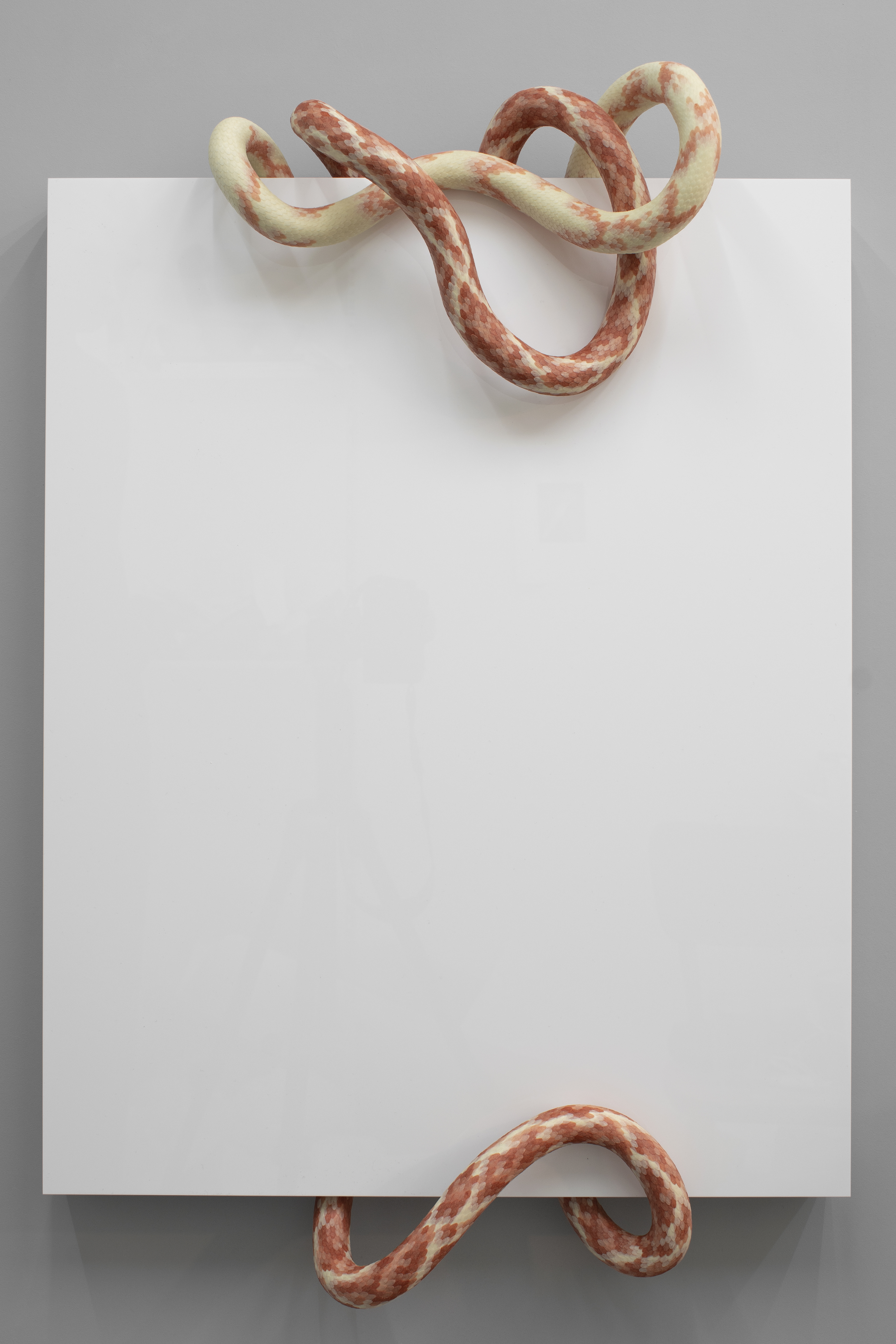 Erik Öberg, Geometric distress II, 2022