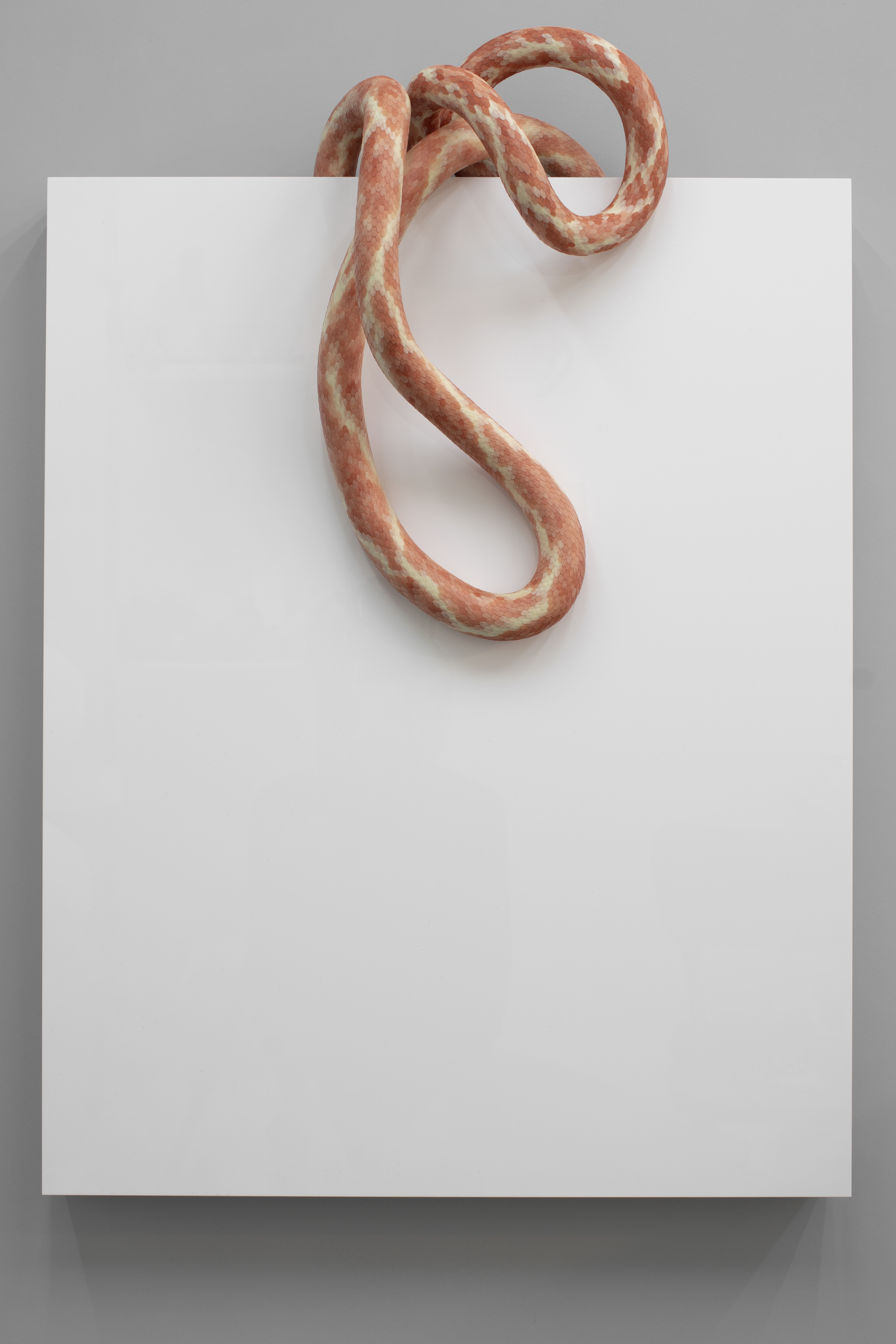 Erik Öberg, Geometric distress I, 2022