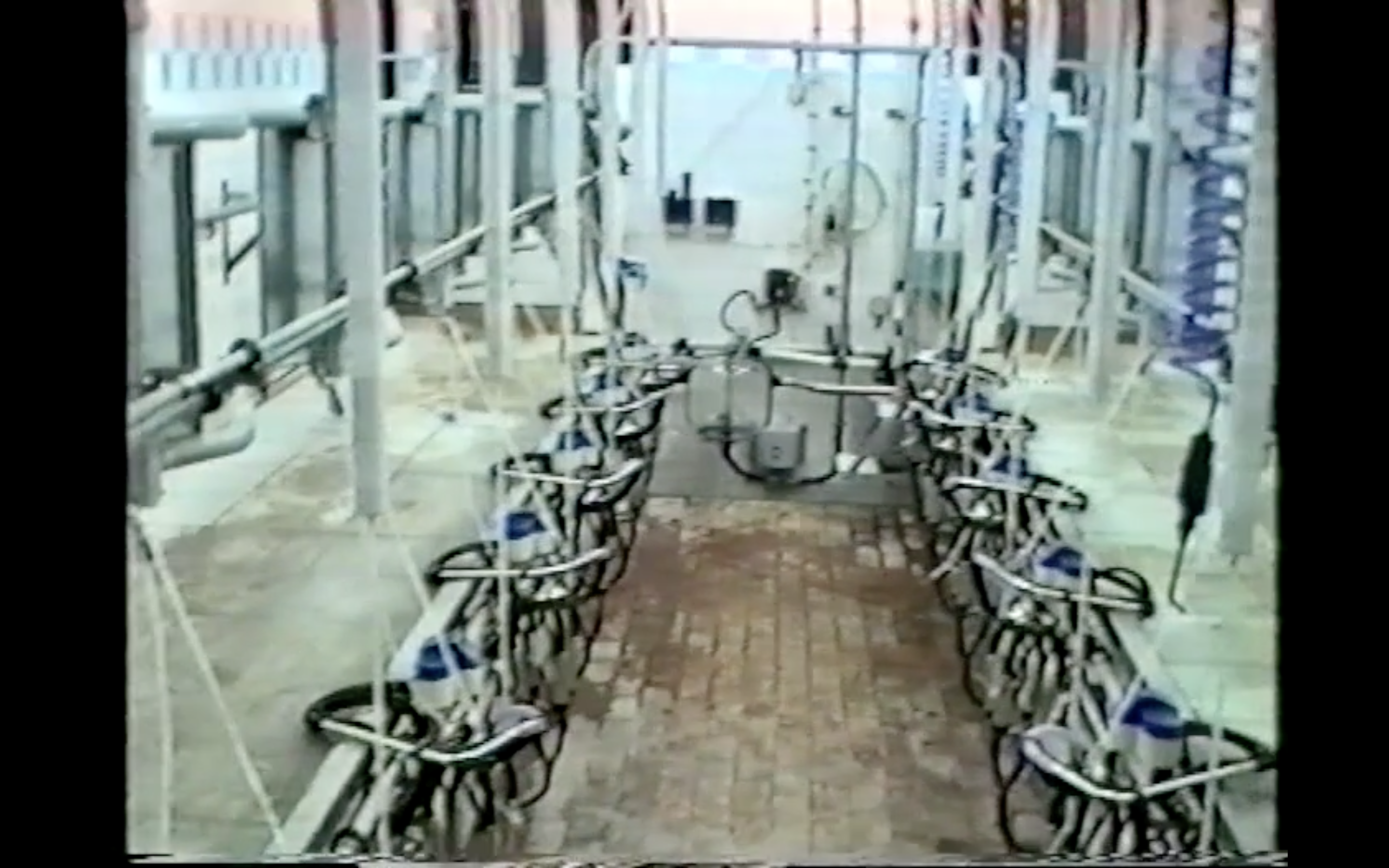 Leonela Lilja, En stans som inte är någonstans. Stillbild från videoverk, 2022.