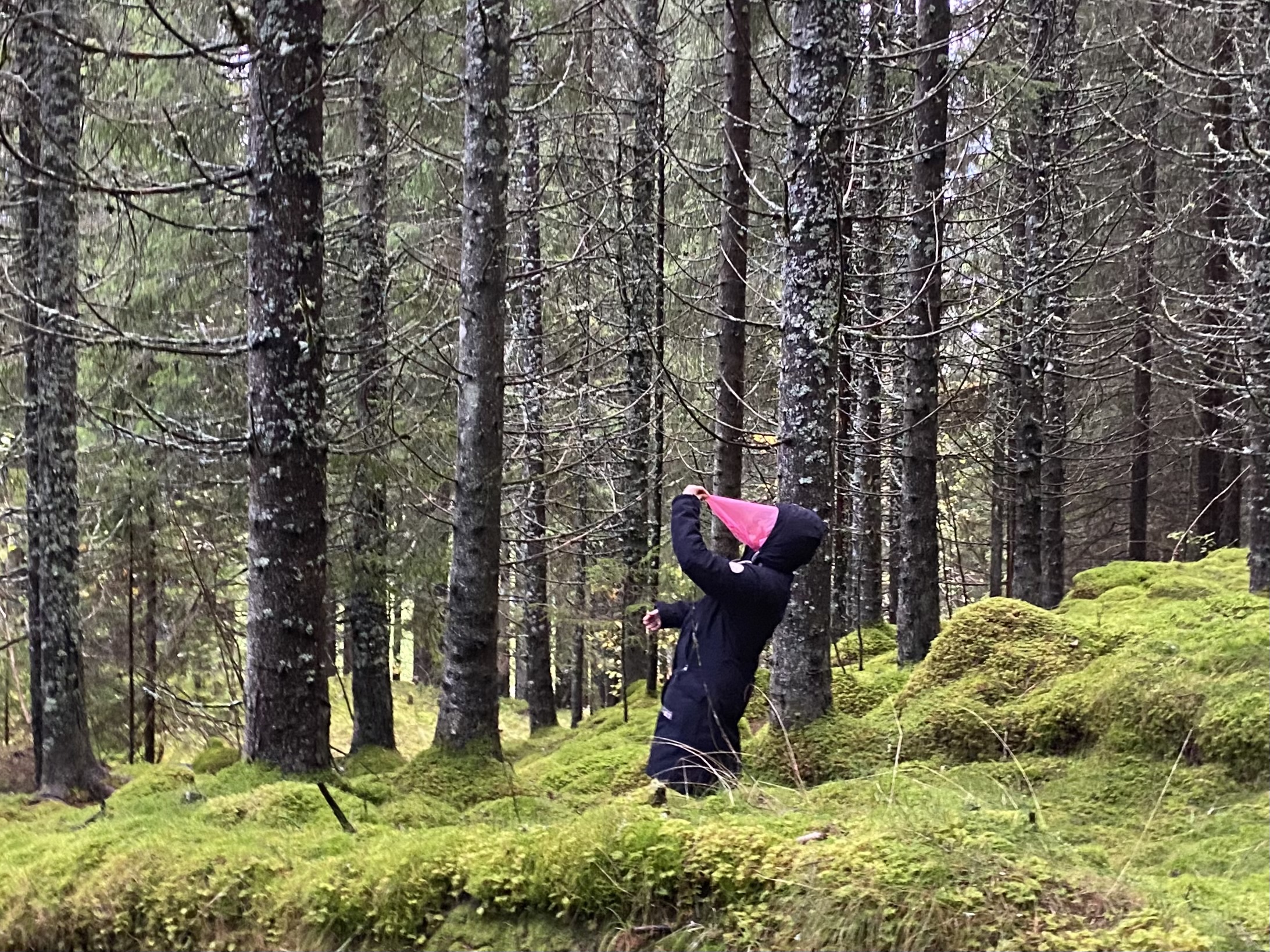 Pavana Reid. Foto: David Stern.