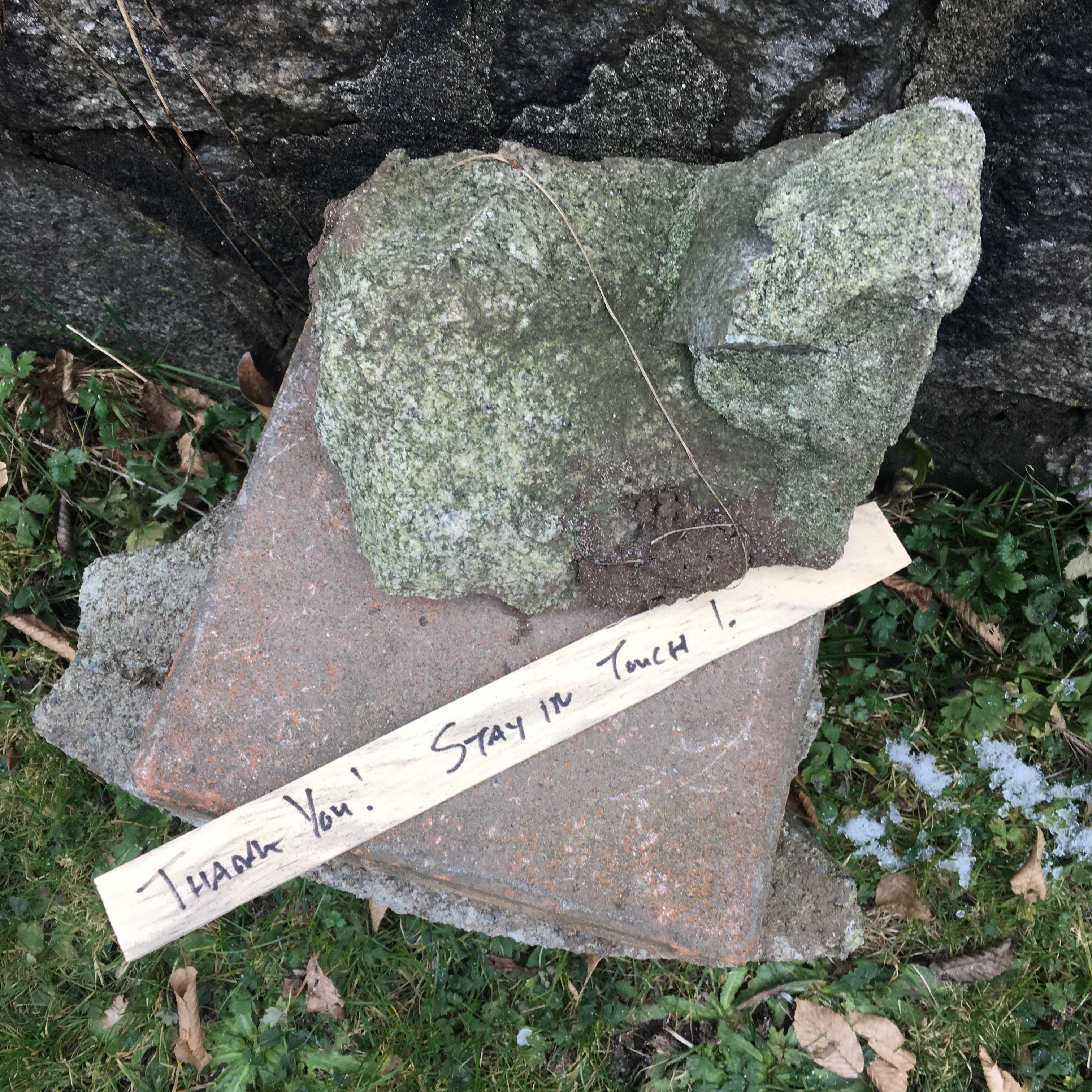 Lisa Marr, Stay In Touch, Photograph, 2021